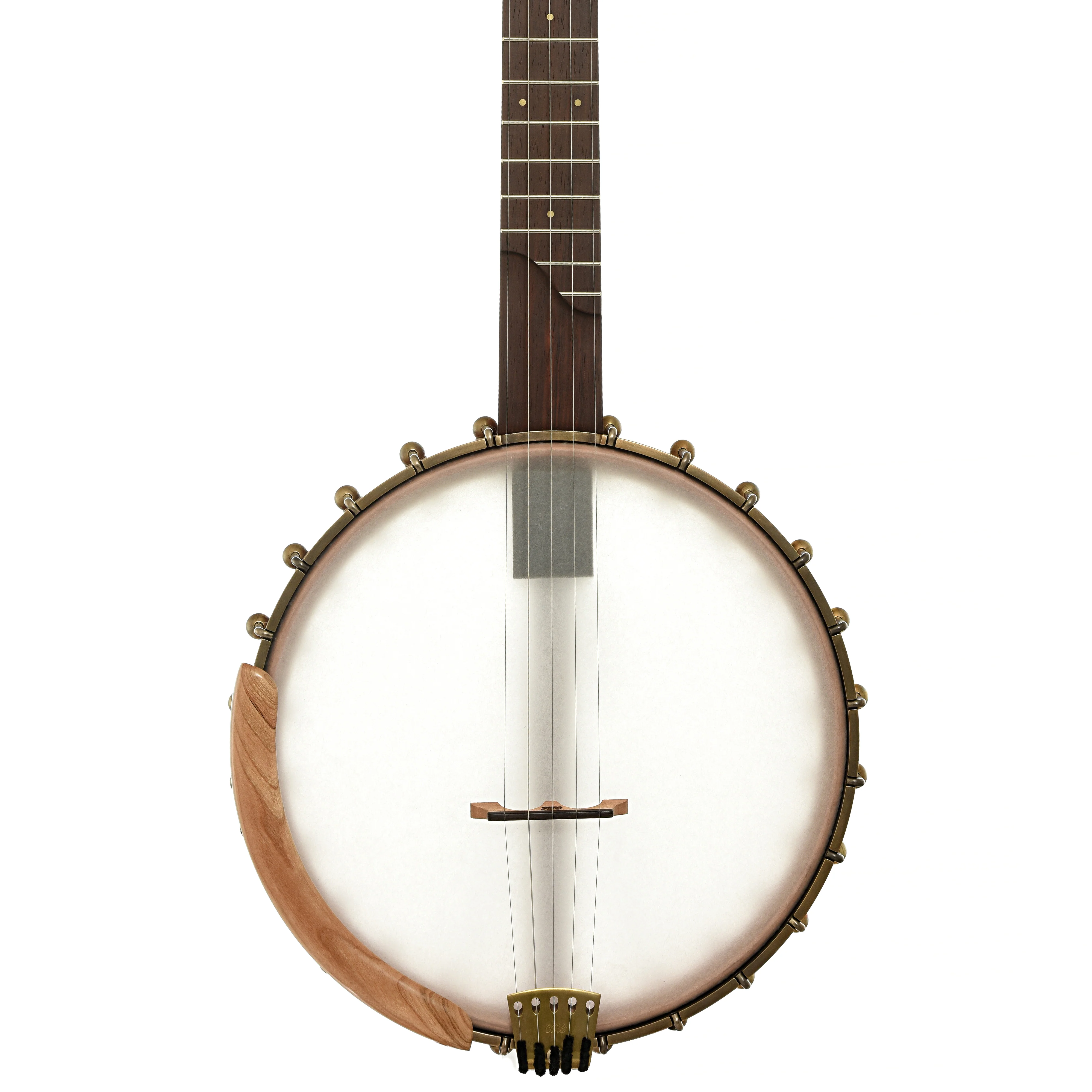 Ome Tupelo 11in Openback Banjo, Mahogany Neck - Image 4