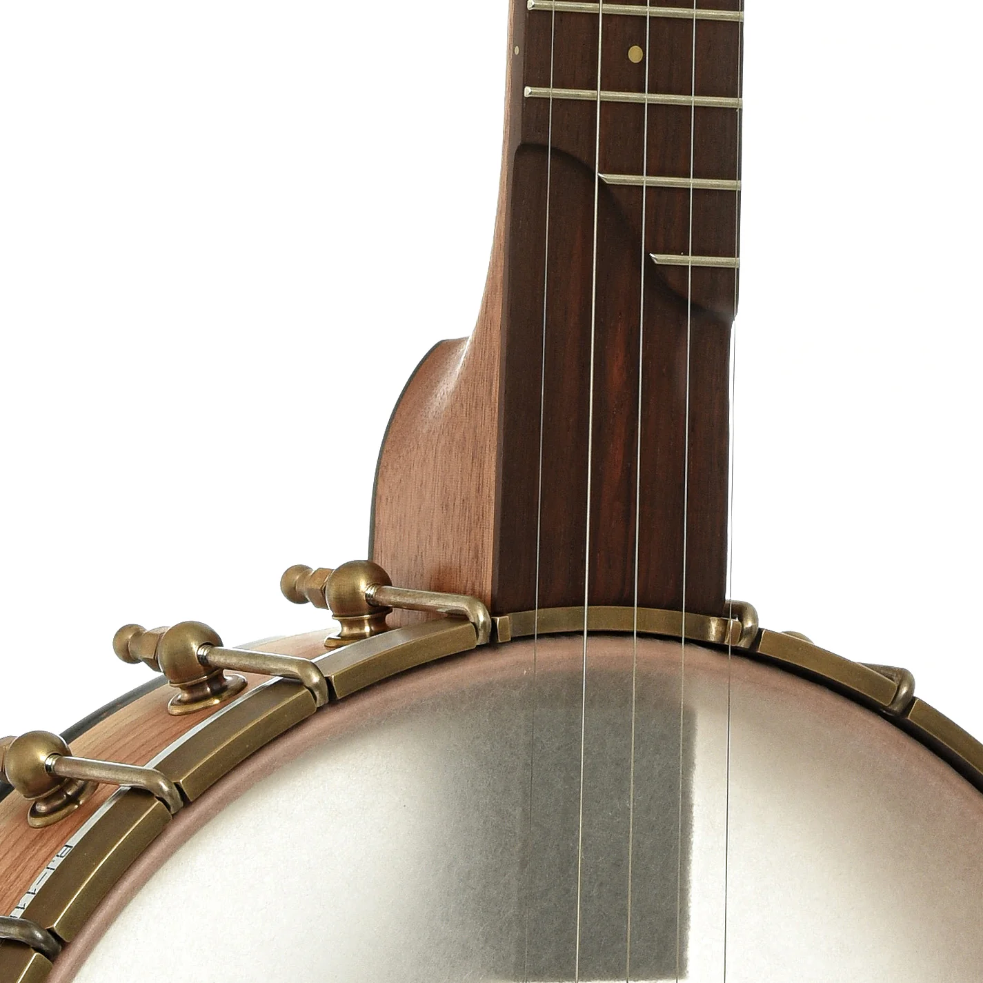 Ome Tupelo 11in Openback Banjo, Mahogany Neck - Image 6