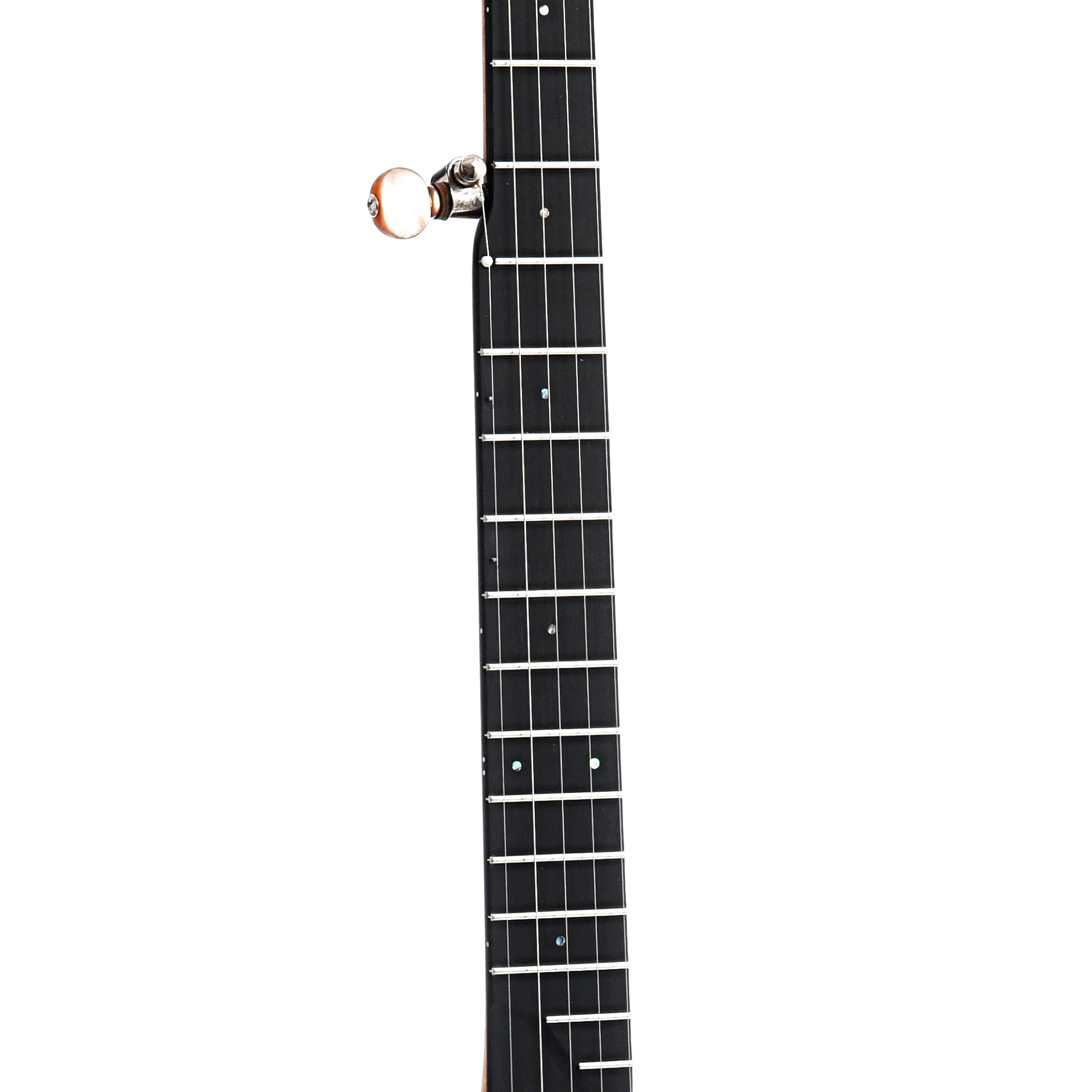 OME Tupelo 12" Openback Banjo & Case, Cherry - Image 5
