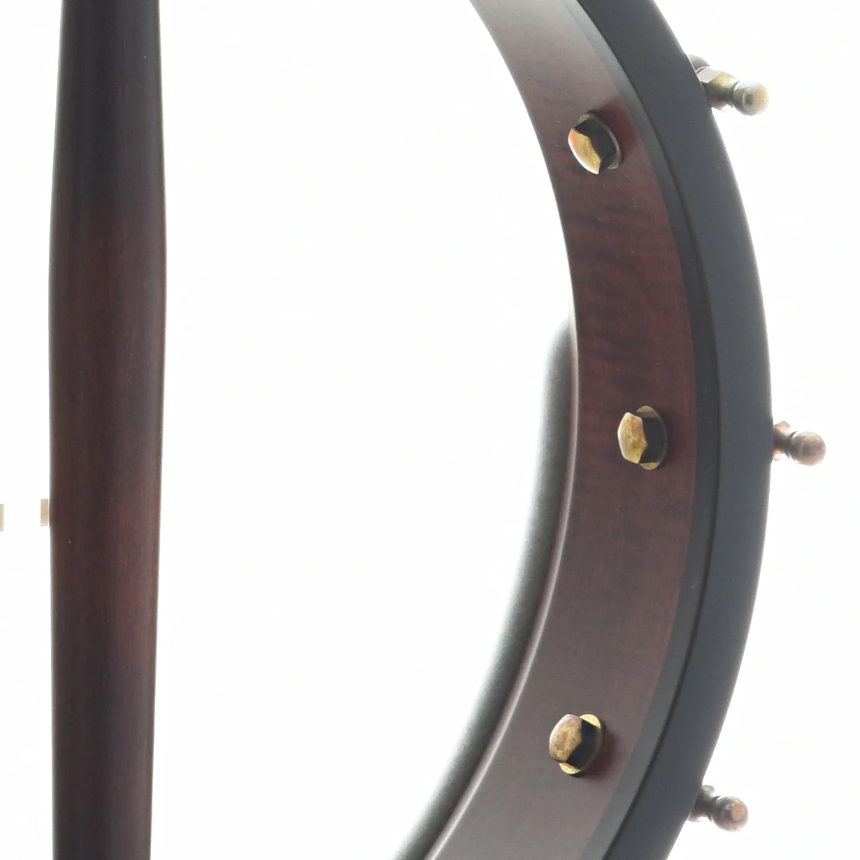 Ome Tupelo 12" Openback Banjo & Case, Curly Maple - Image 8