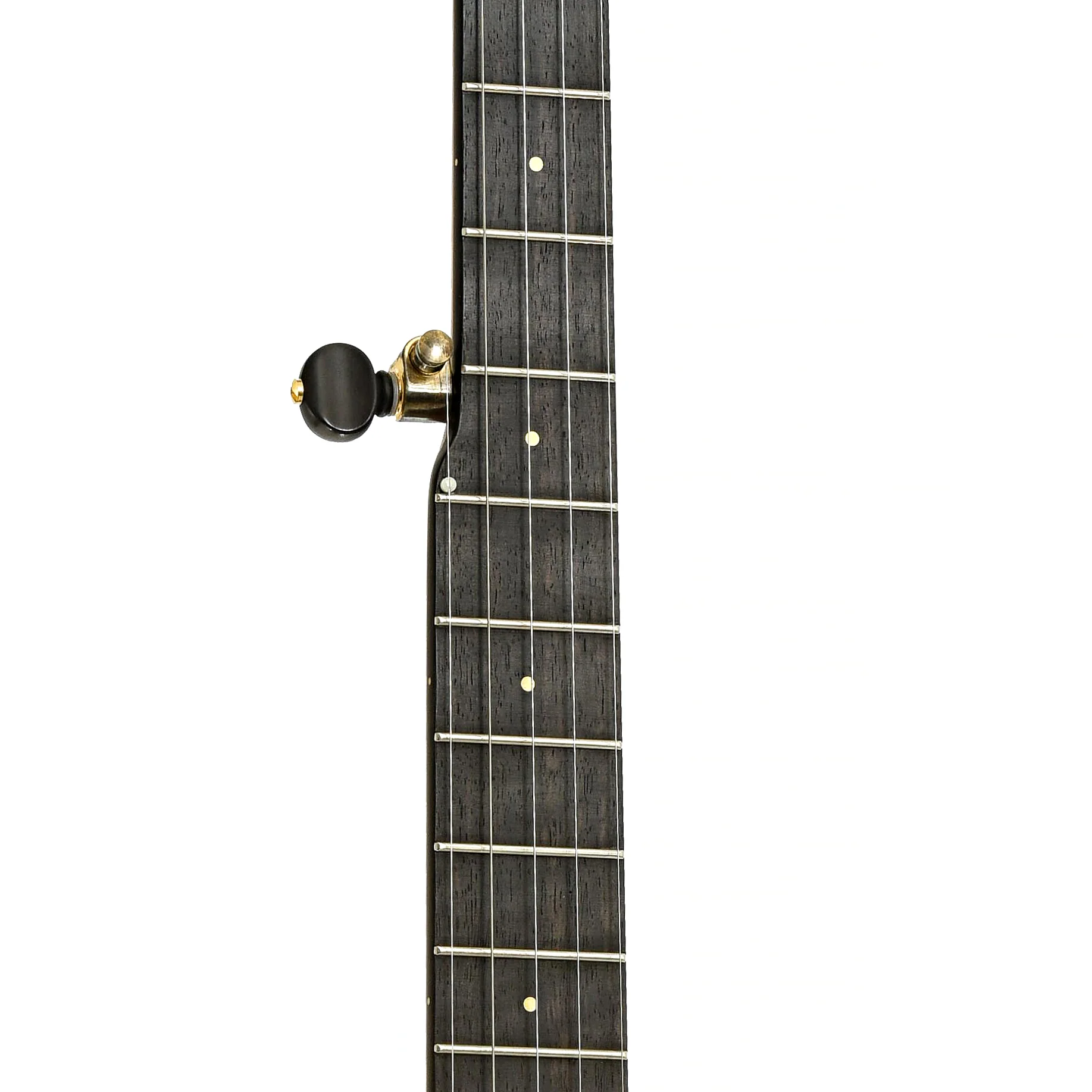 Ome Tupelo Openback Banjo & Case, 11" Rim, Cherry - Image 7