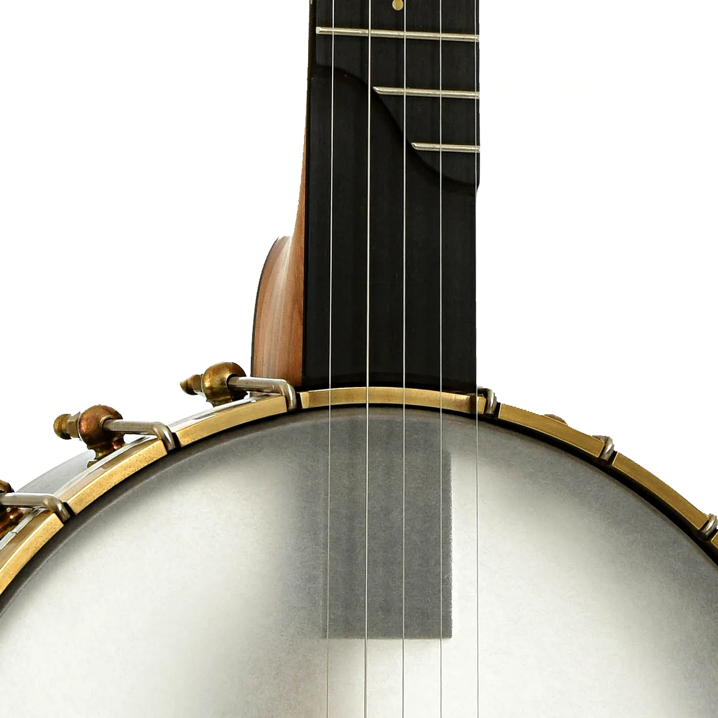 Ome Tupelo Openback Banjo & Case, 11" Rim, Maple - Image 6