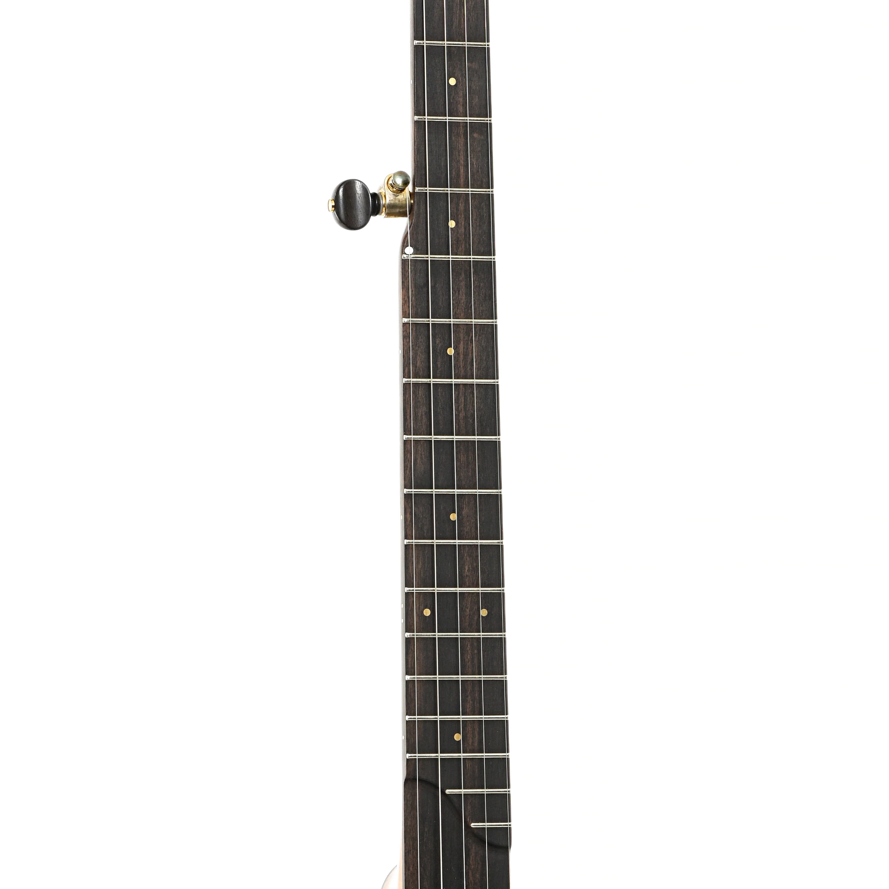 Ome Tupelo Openback Banjo & Case, 12" Rim, Cherry - Image 6