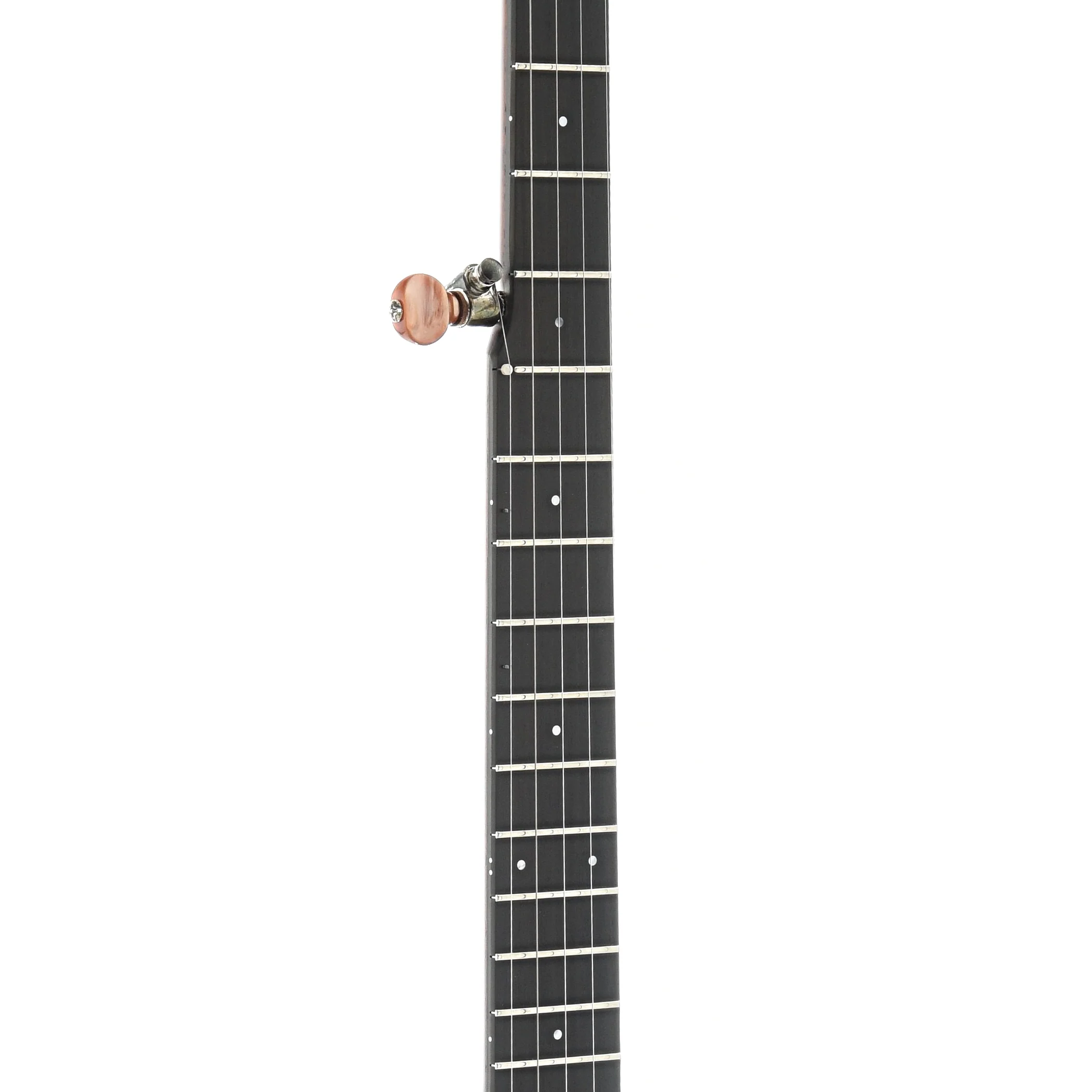 Ome Wizard 11" Openback Banjo & Case, Curly Maple - Image 5