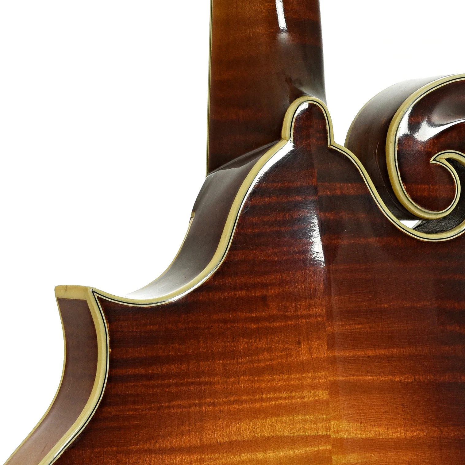 Omeena F-Style Mandolin (2025) - Image 10