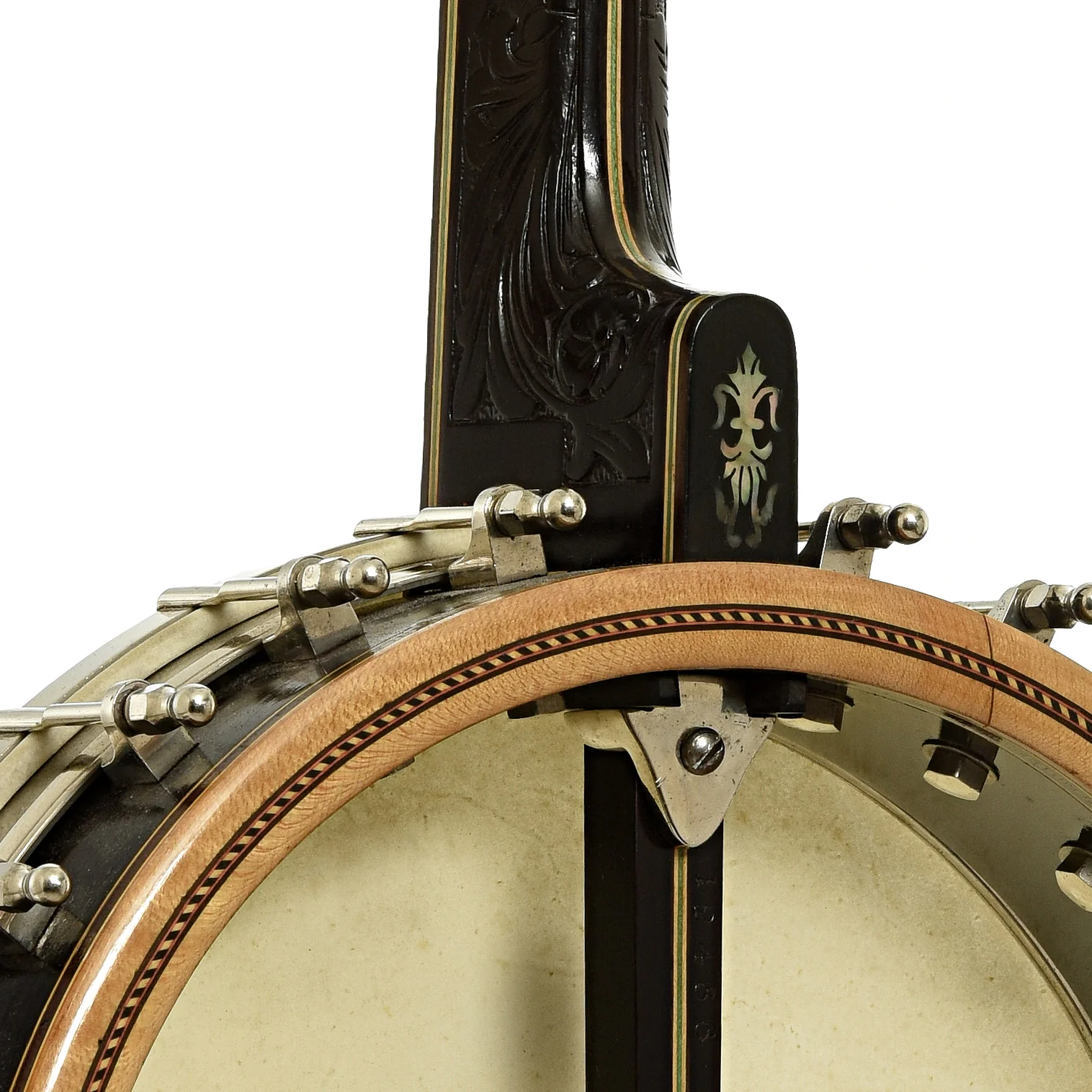 Orpheum No.3 Tenor Banjo (c.1921) - Image 11