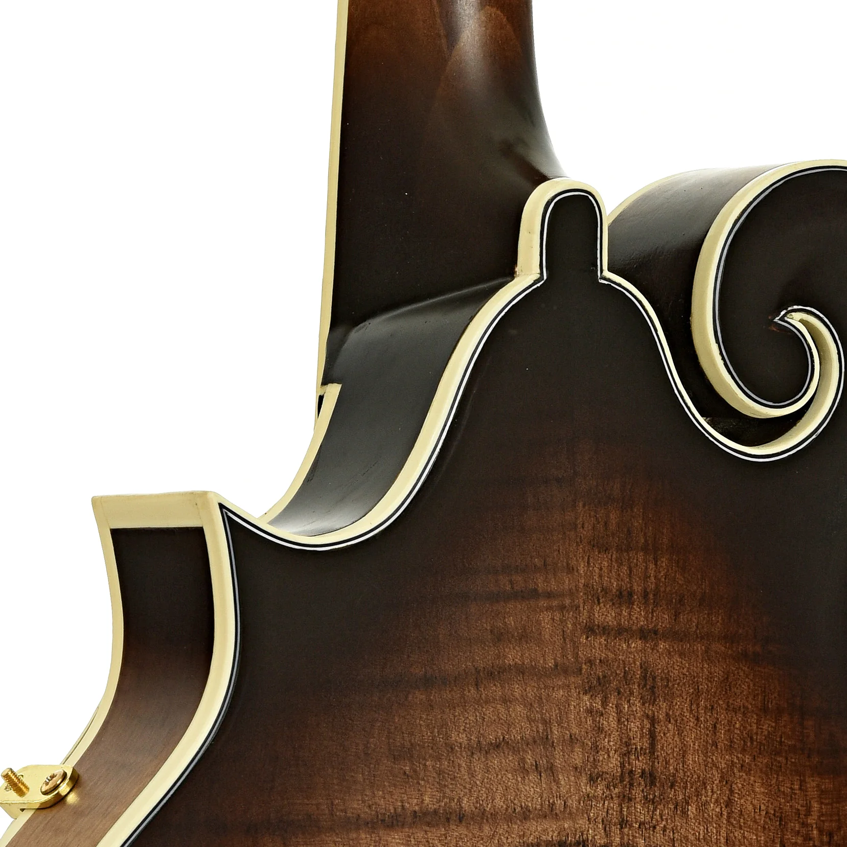 Ortega RMFE100AVO Acoustic-Electric F-Model Mandolin (c.2020) - Image 10