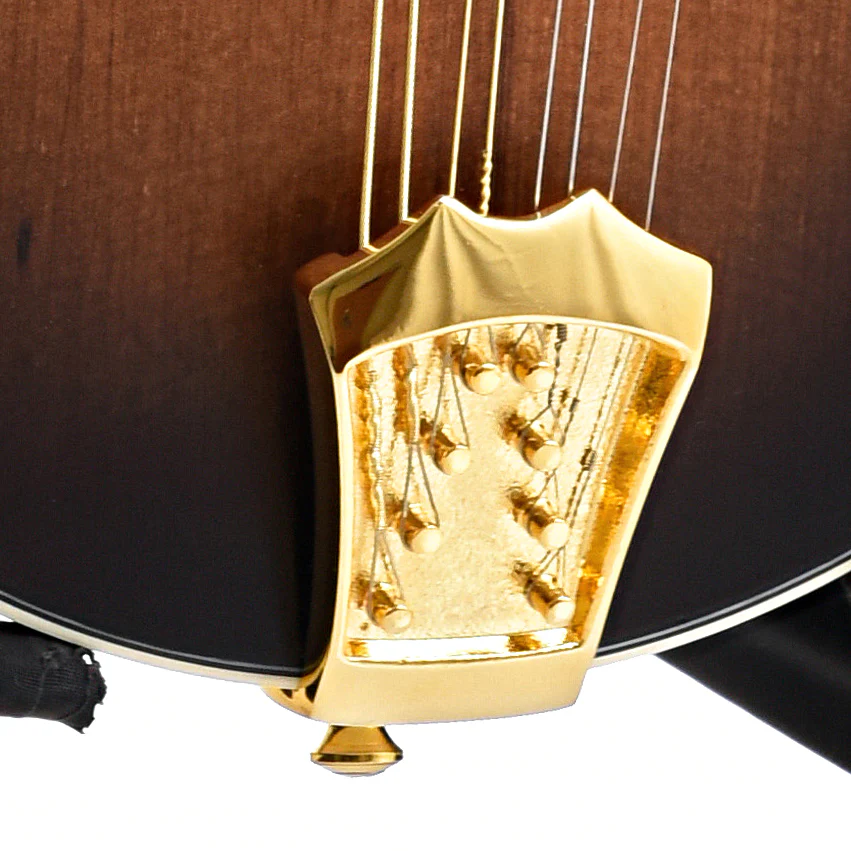 Ortega RMFE100AVO F-Model Mandolin, Distressed Finish, with Pickup - Image 4