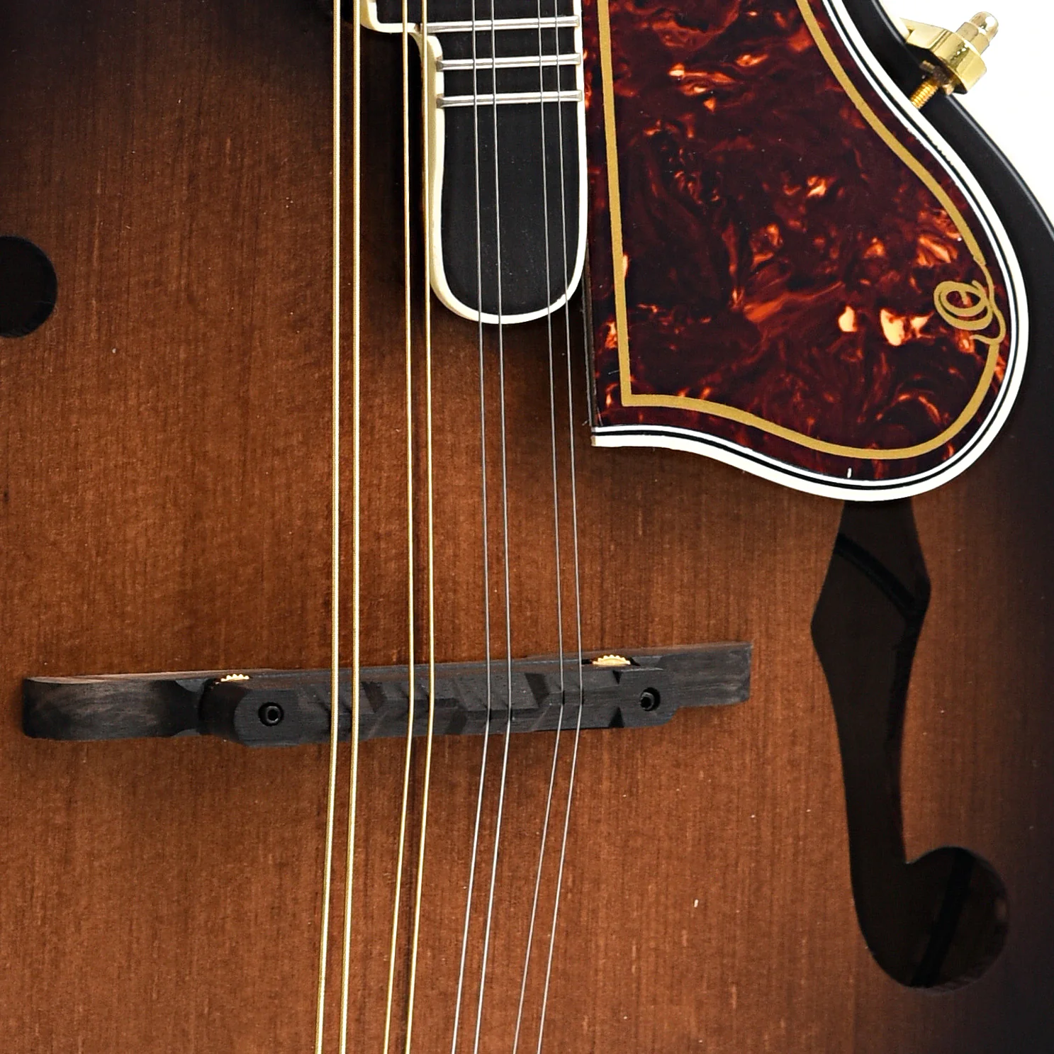Ortega RMFE100AVO F-Model Mandolin, Distressed Finish, with Pickup - Image 5