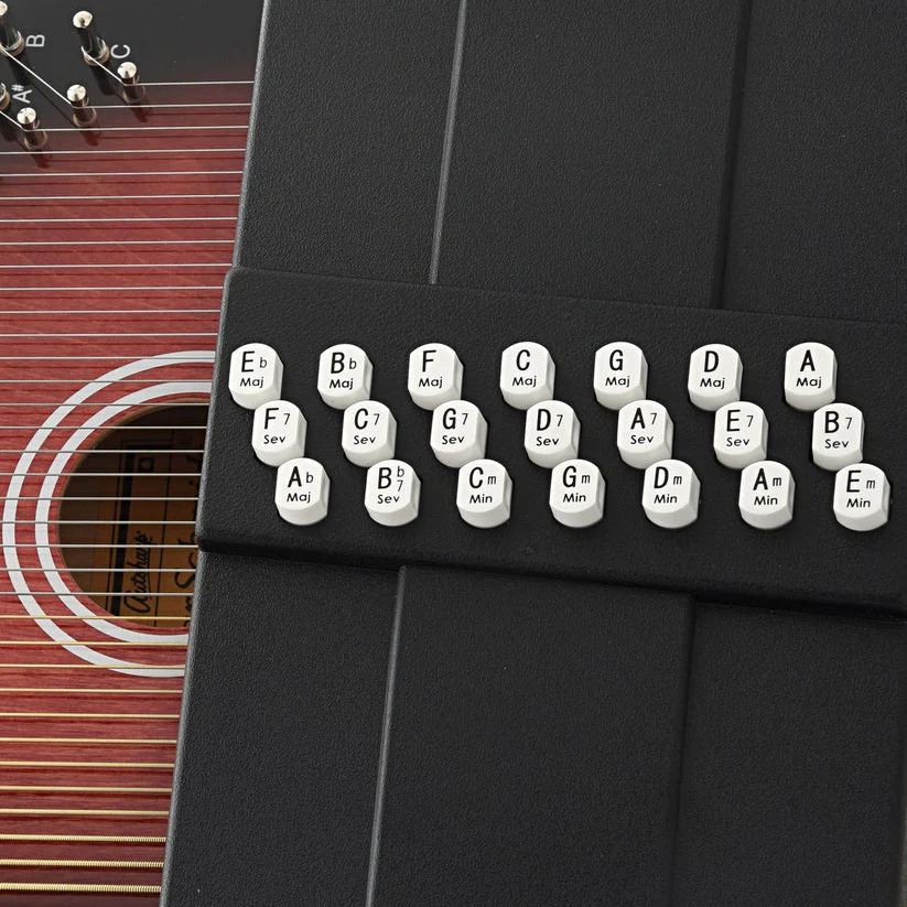 Oscar Schmidt Autoharp Button Set for 21-Bar - Remaining Stock - Image 3