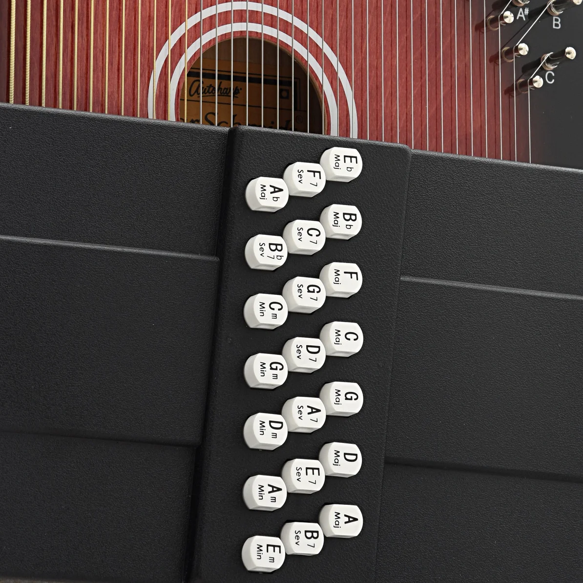 Oscar Schmidt OS21CE Electric Autoharp - Image 3