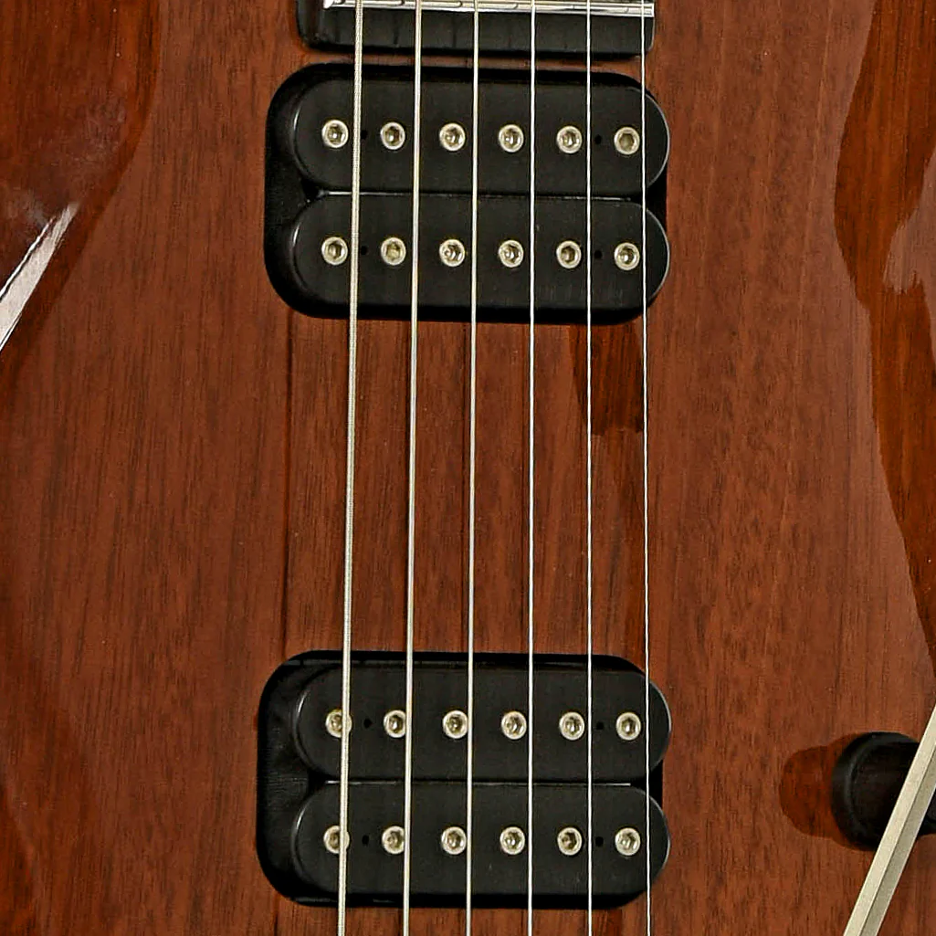 Parker Fly Classic Electric Guitar (2009) - Image 6