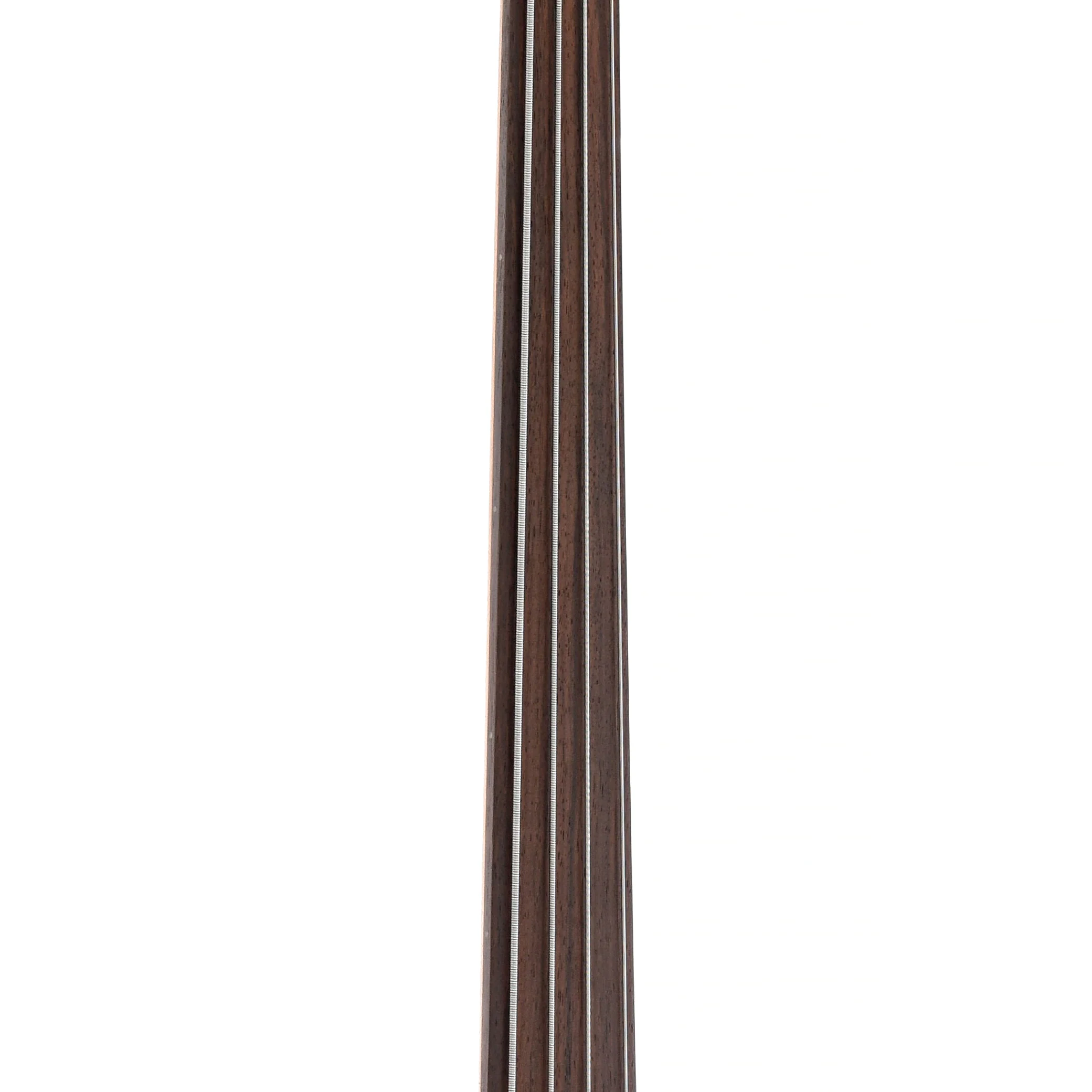 Parts Fretless Electric Bass (recent) - Image 6