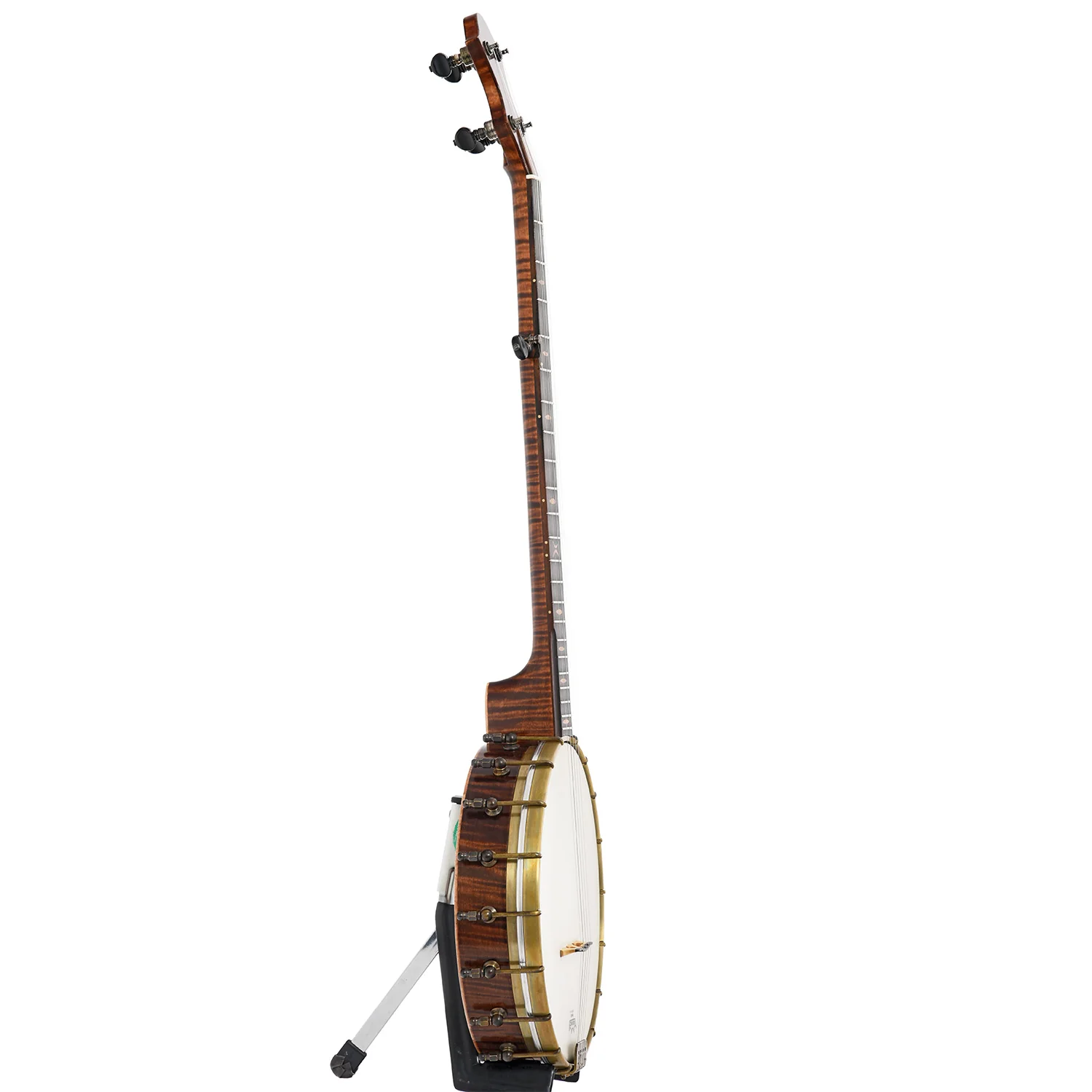 Pattison 11" Tubaphone Banjo, Curly Maple - Image 13