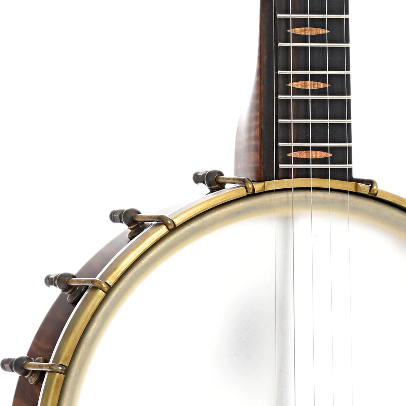 Pattison 11" Tubaphone Banjo, Curly Maple - Image 5