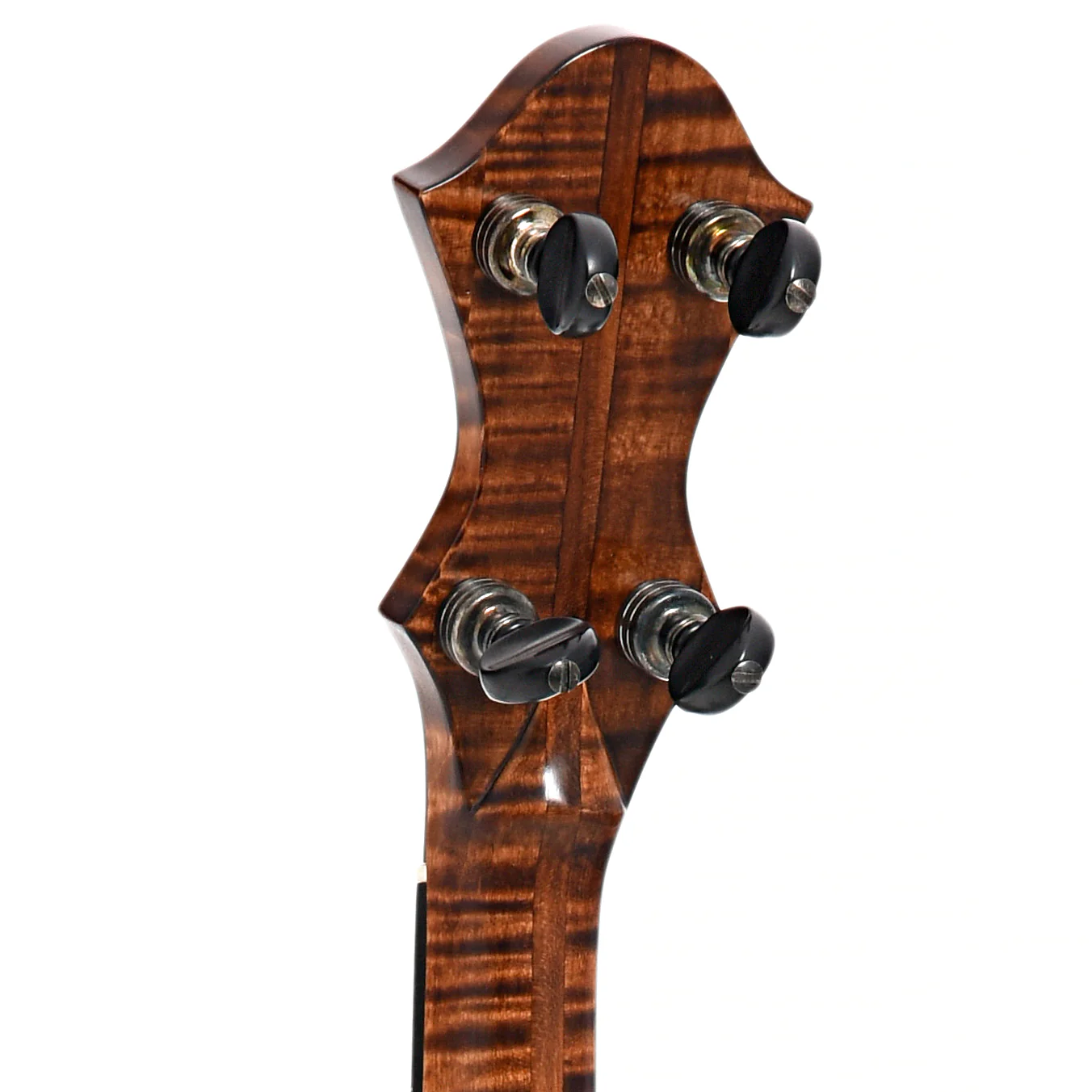 Pattison 11" Tubaphone Banjo, Curly Maple - Image 8