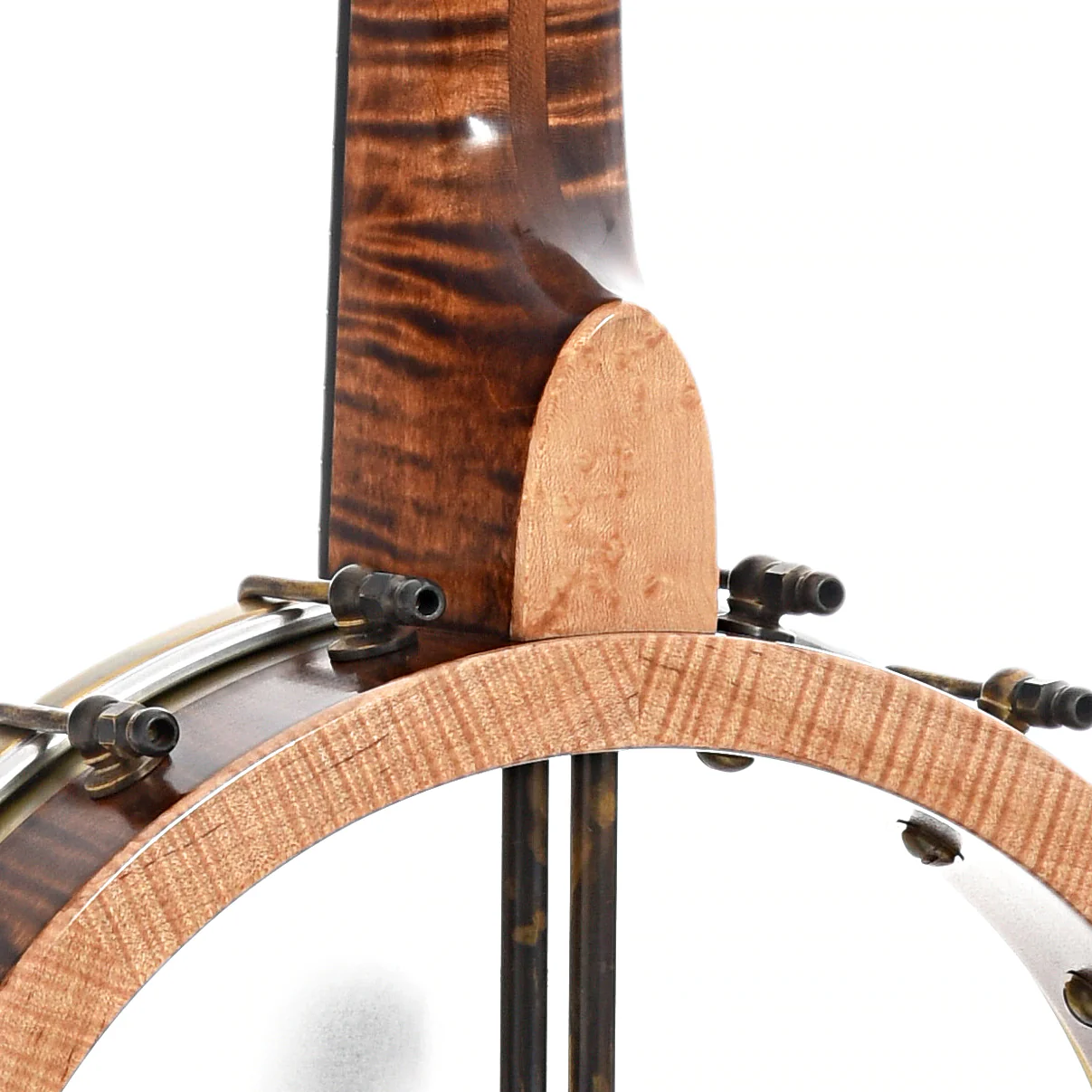 Pattison 11" Tubaphone Banjo, Curly Maple - Image 9