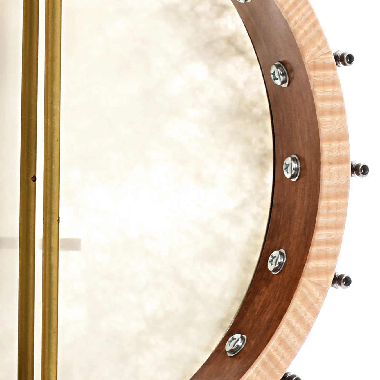 Pattison 12" Whyte Laydie Banjo, Maple, #97B - Image 11