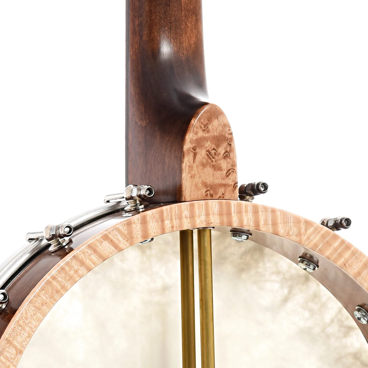Pattison 12" Whyte Laydie Banjo, Maple, #97B - Image 8