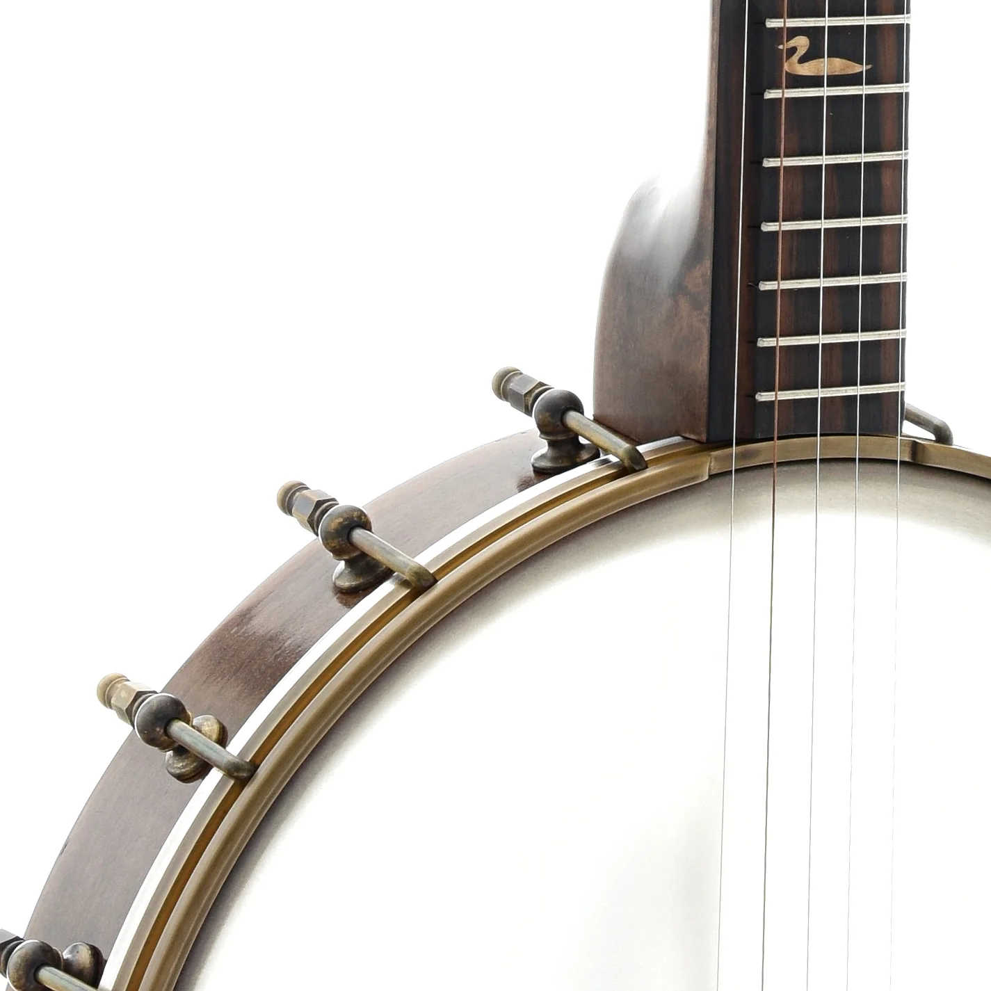 Pattison Mountain Loon 12" Openback Banjo - Image 4