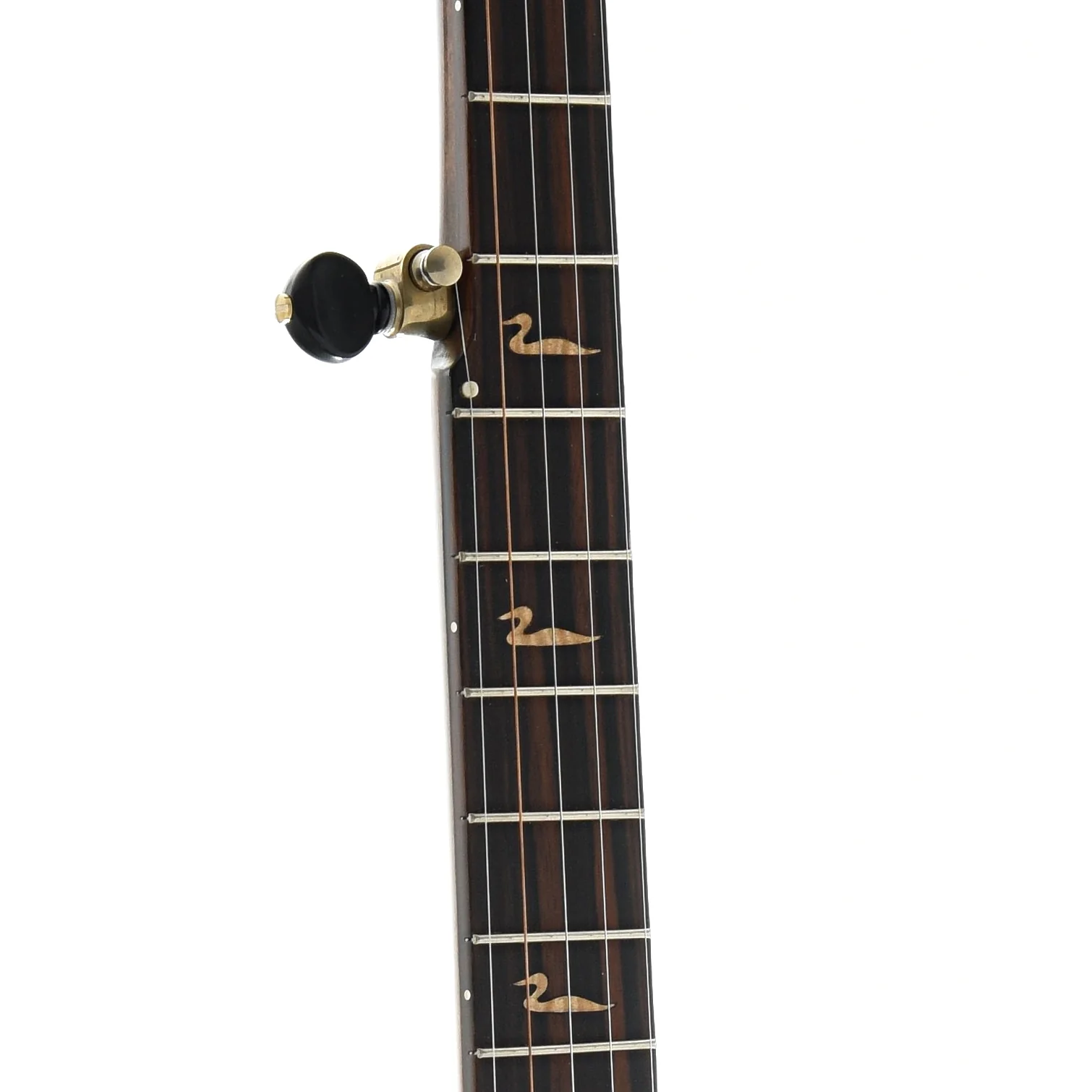 Pattison Mountain Loon 12" Openback Banjo - Image 5