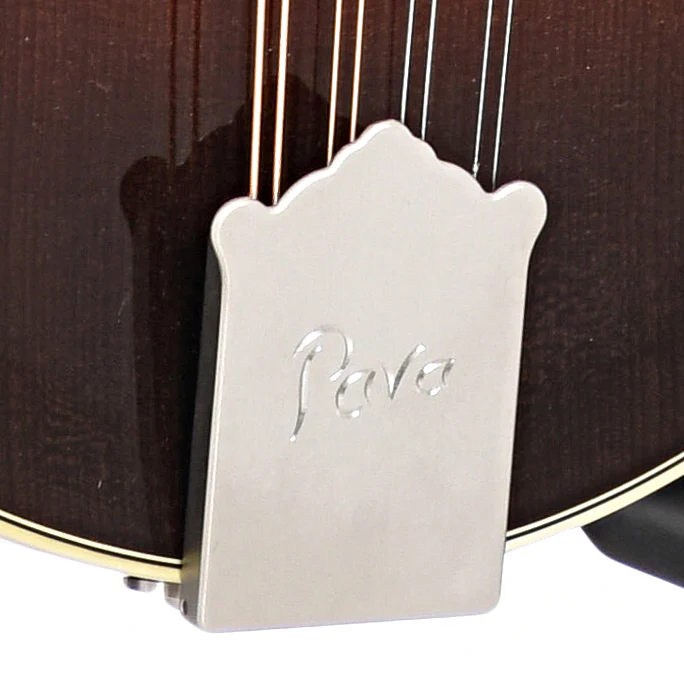 Pava A5 Pro Model Mandolin & Case - Image 4