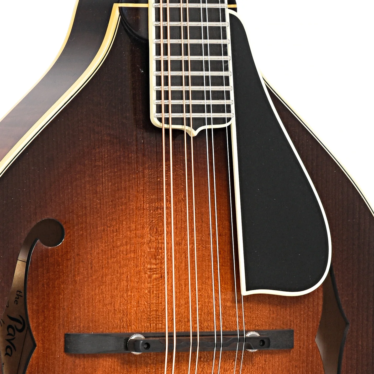 Pava A5 Pro Model Mandolin & Case - Image 5