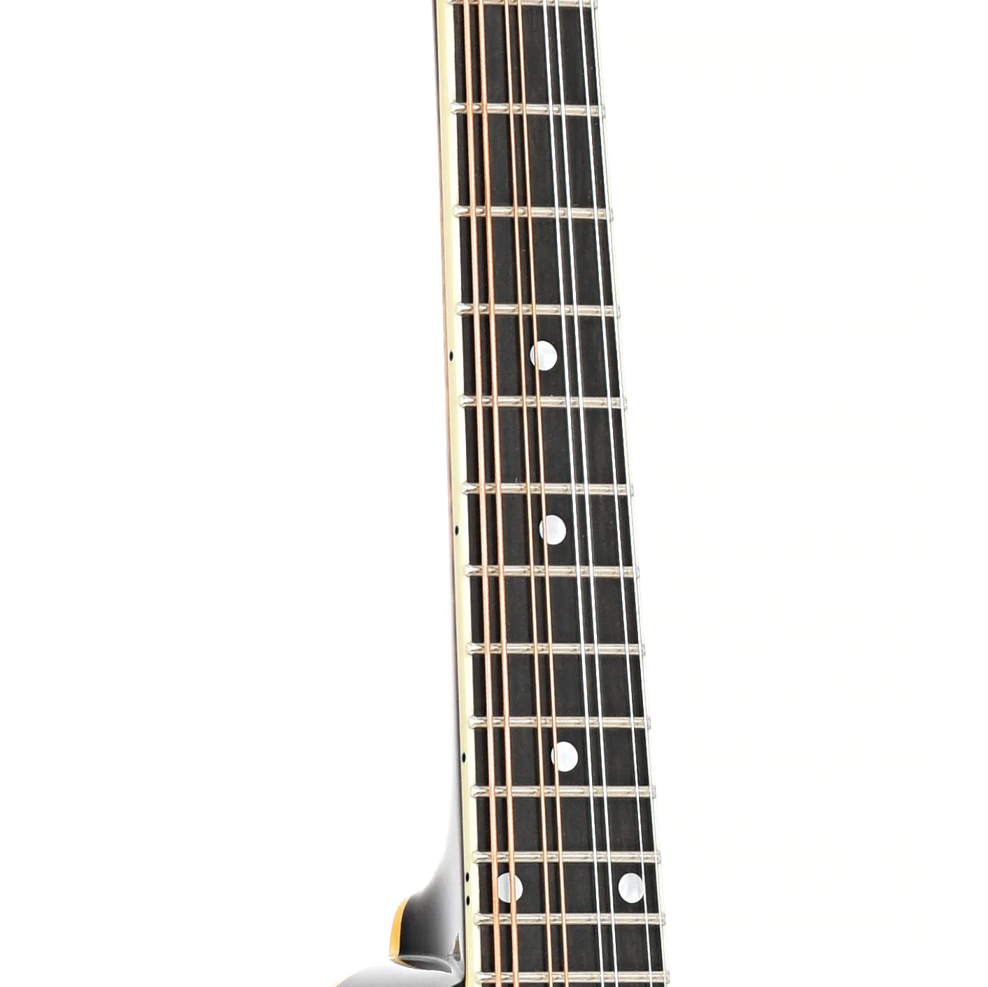 Pava A5 Pro Model Mandolin & Case - Image 6