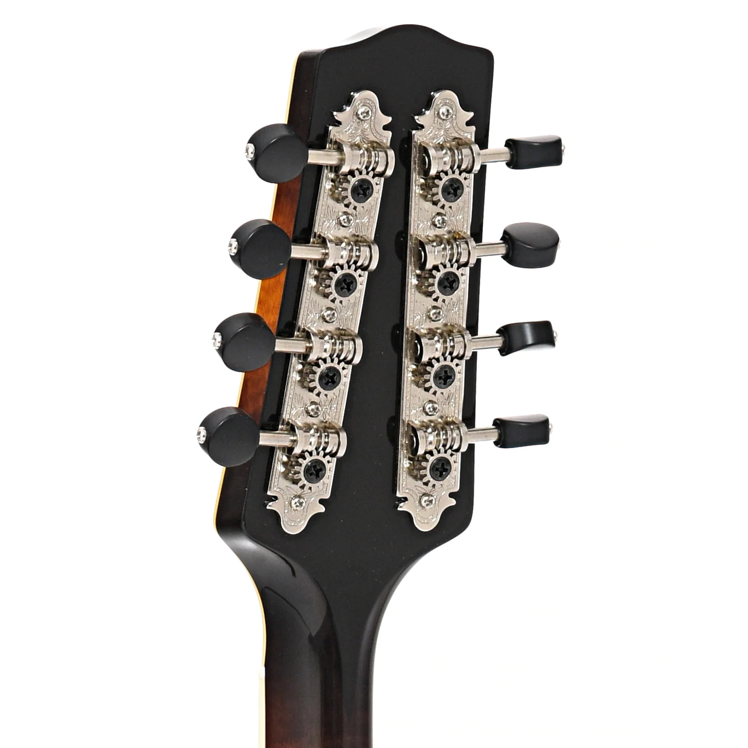 Pava A5 Pro Model Mandolin & Case - Image 8