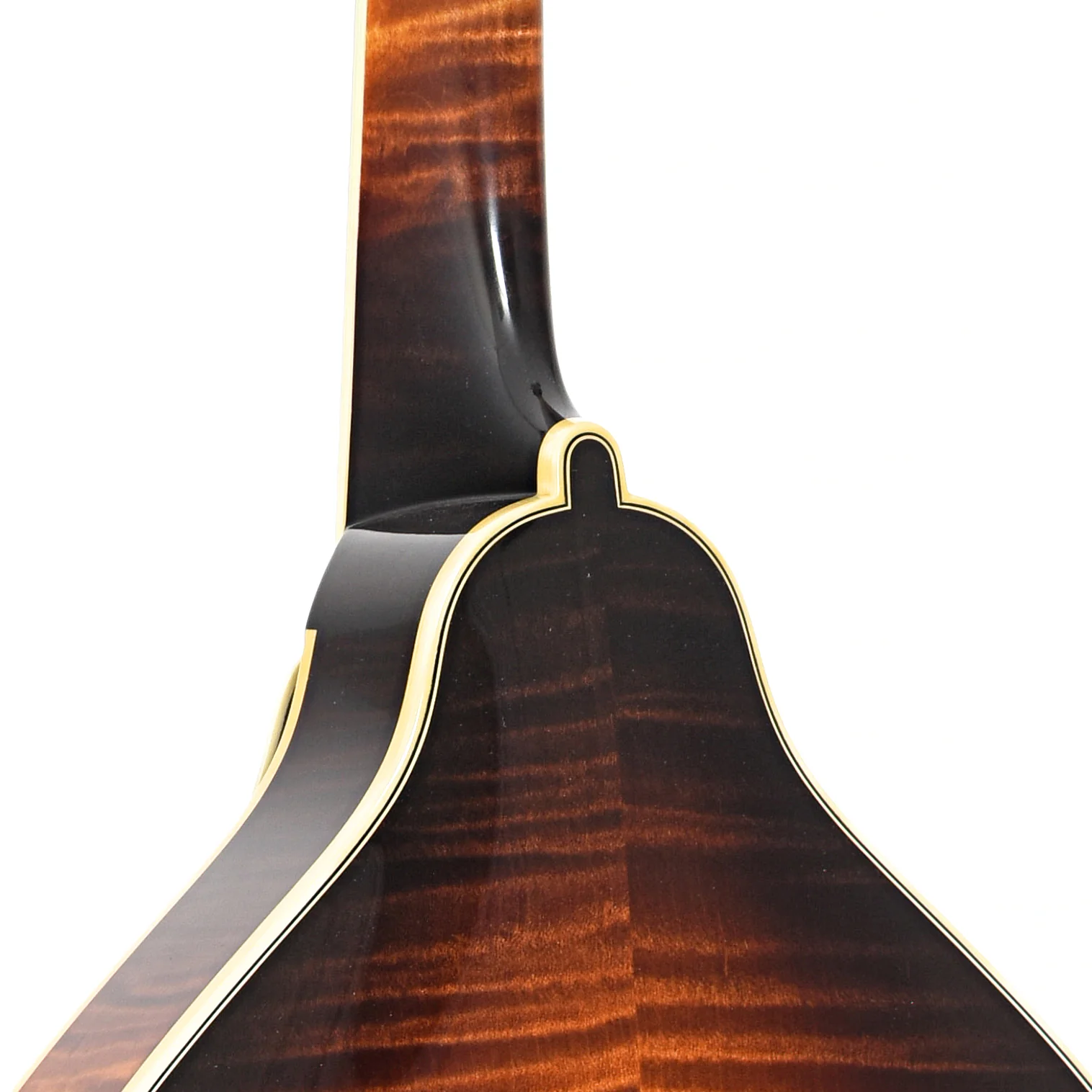 Pava A5 Pro Model Mandolin & Case - Image 9