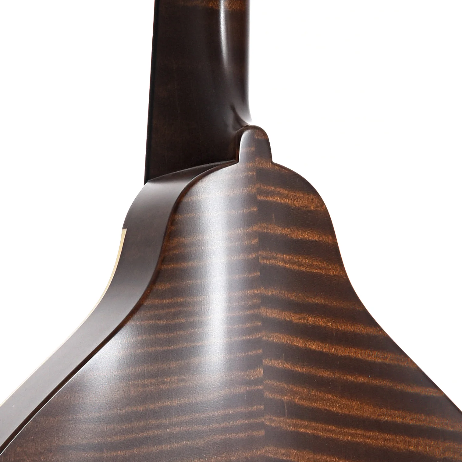 Pava A5 Satin Model Mandolin & Case, Brown - Image 10