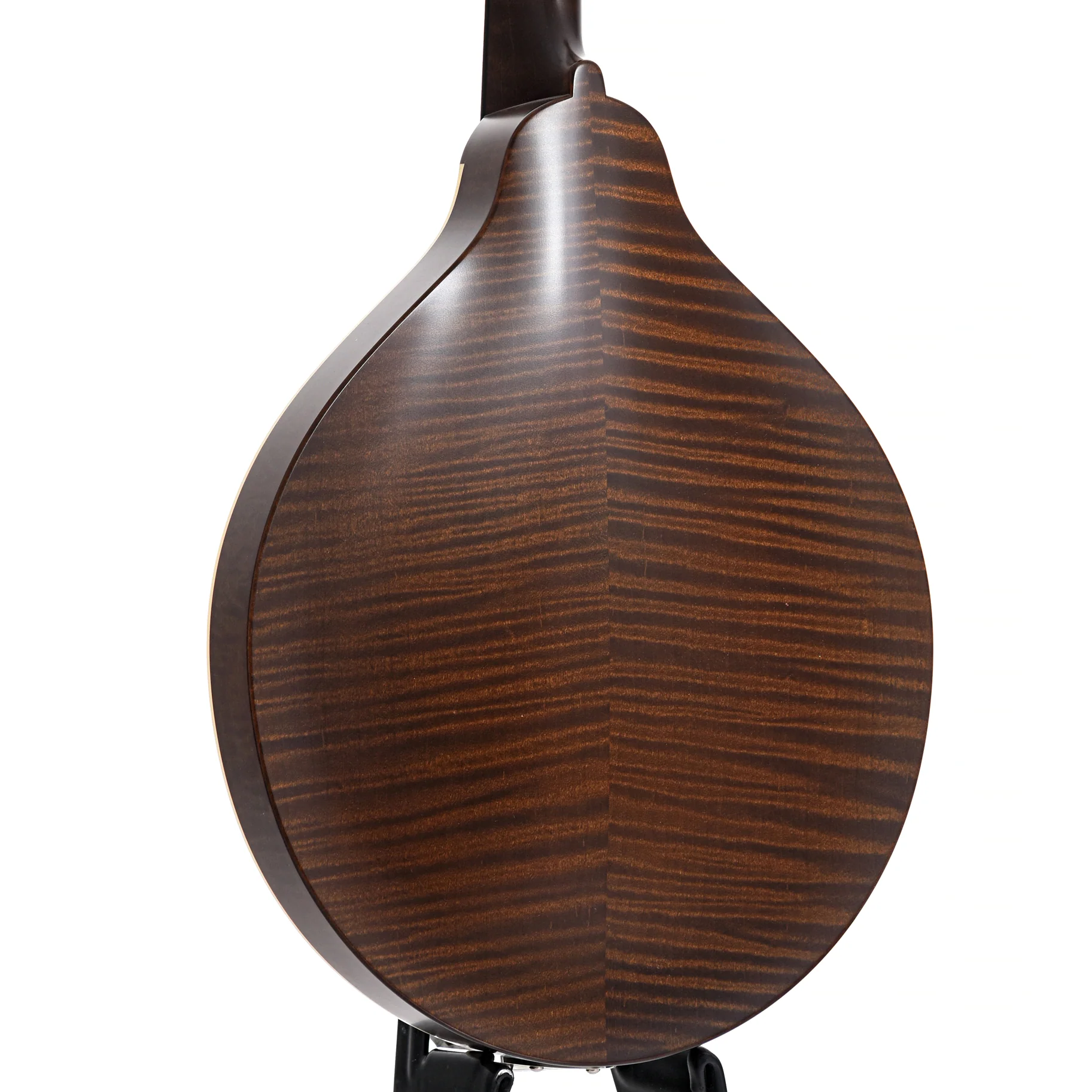 Pava A5 Satin Model Mandolin & Case, Brown - Image 11