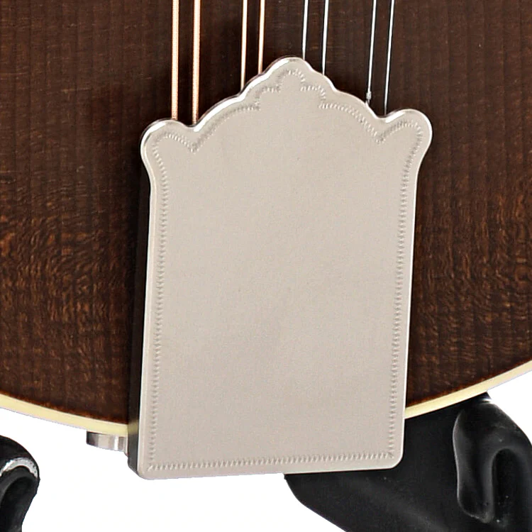 Pava A5 Satin Model Mandolin & Case, Brown - Image 5