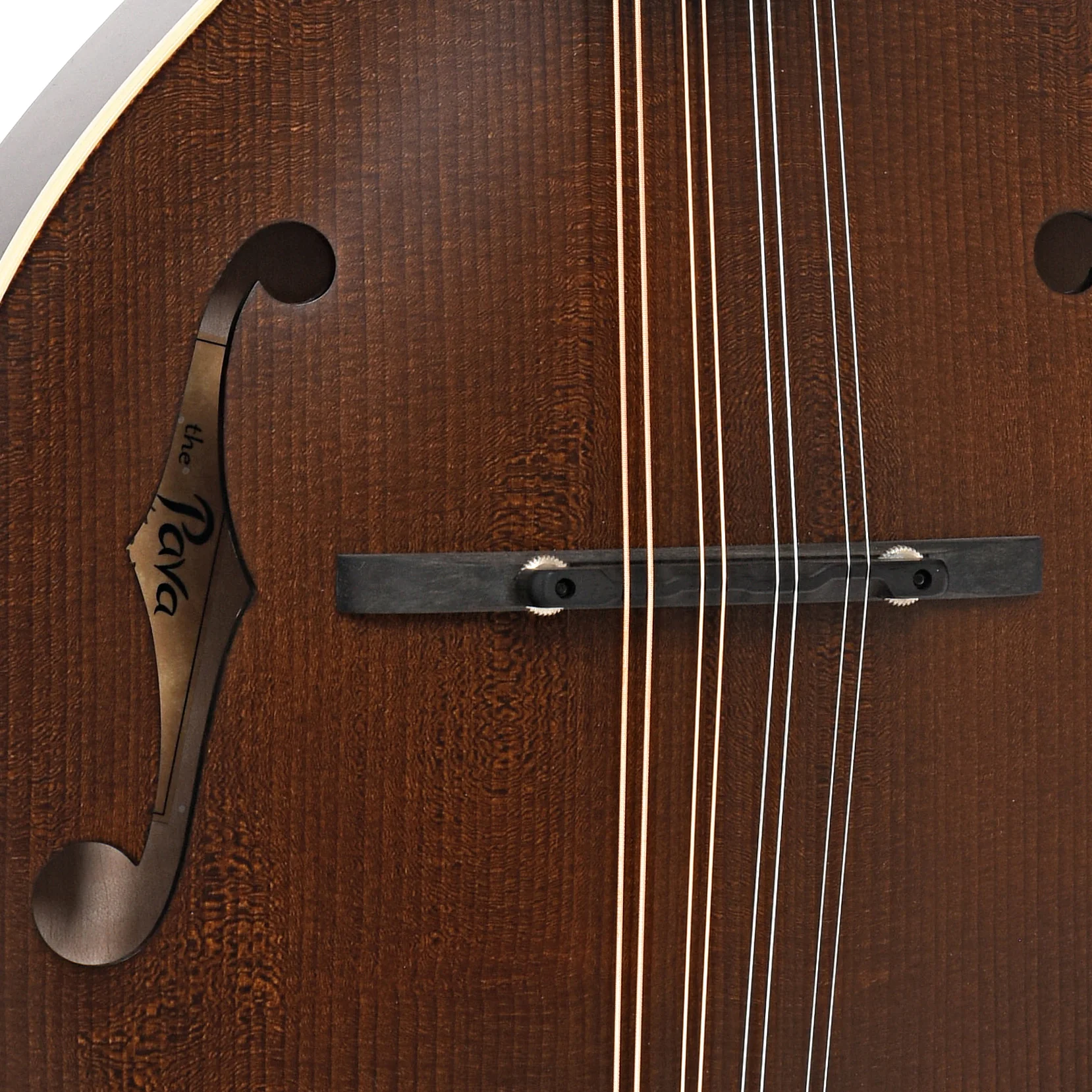 Pava A5 Satin Model Mandolin & Case, Brown - Image 6