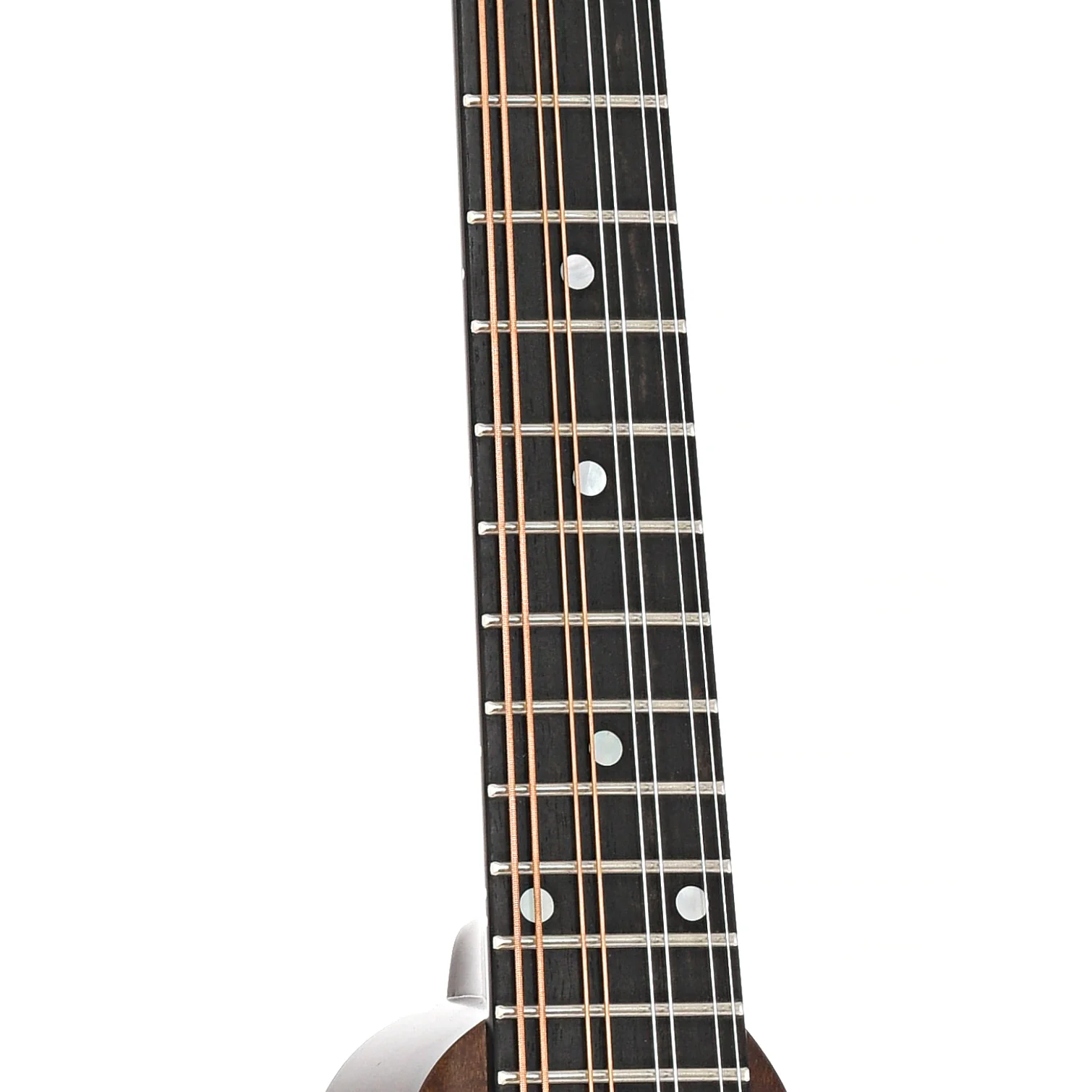 Pava A5 Satin Model Mandolin & Case, Brown - Image 7