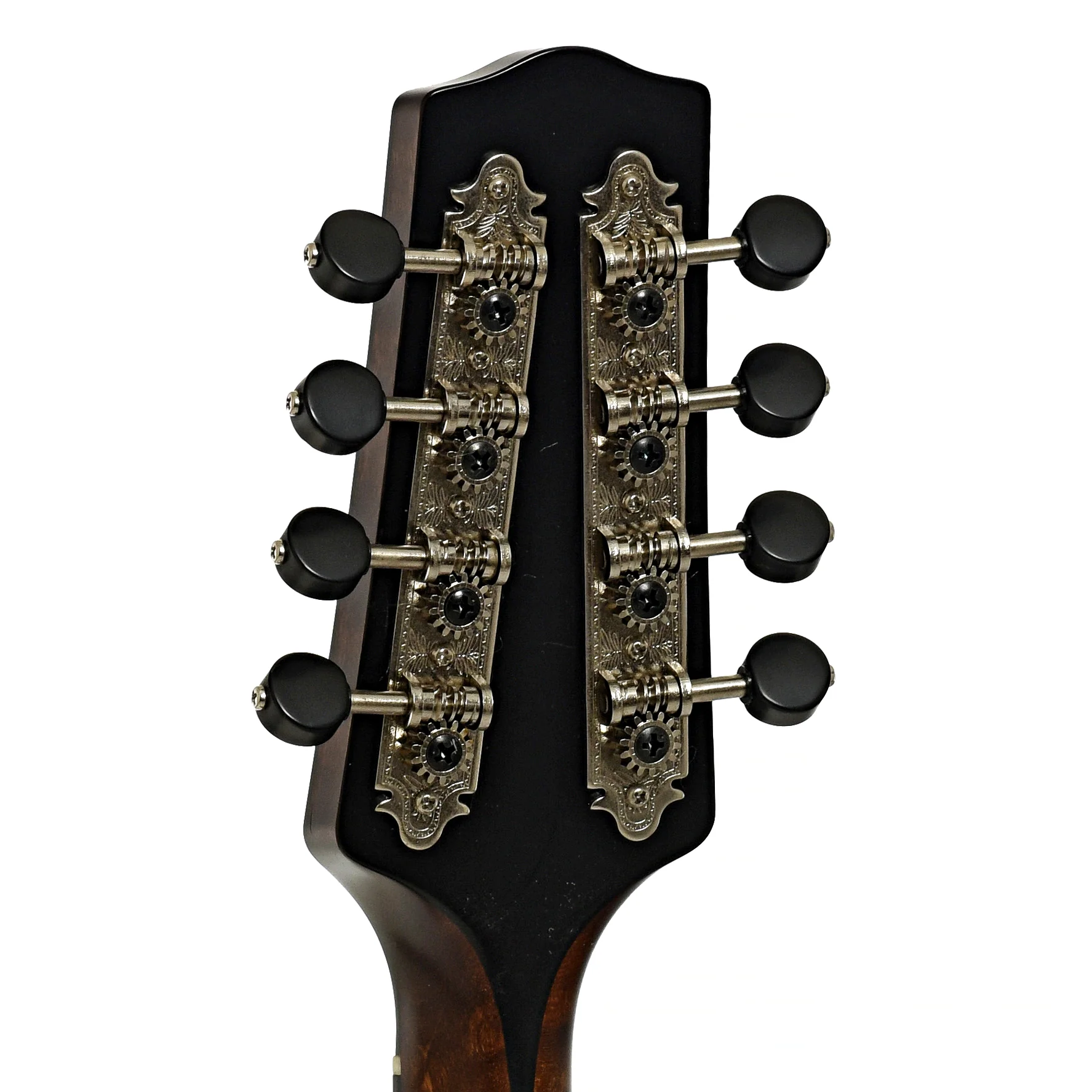 Pava A5 Satin Oval Hole Mandolin (2022) - Image 9
