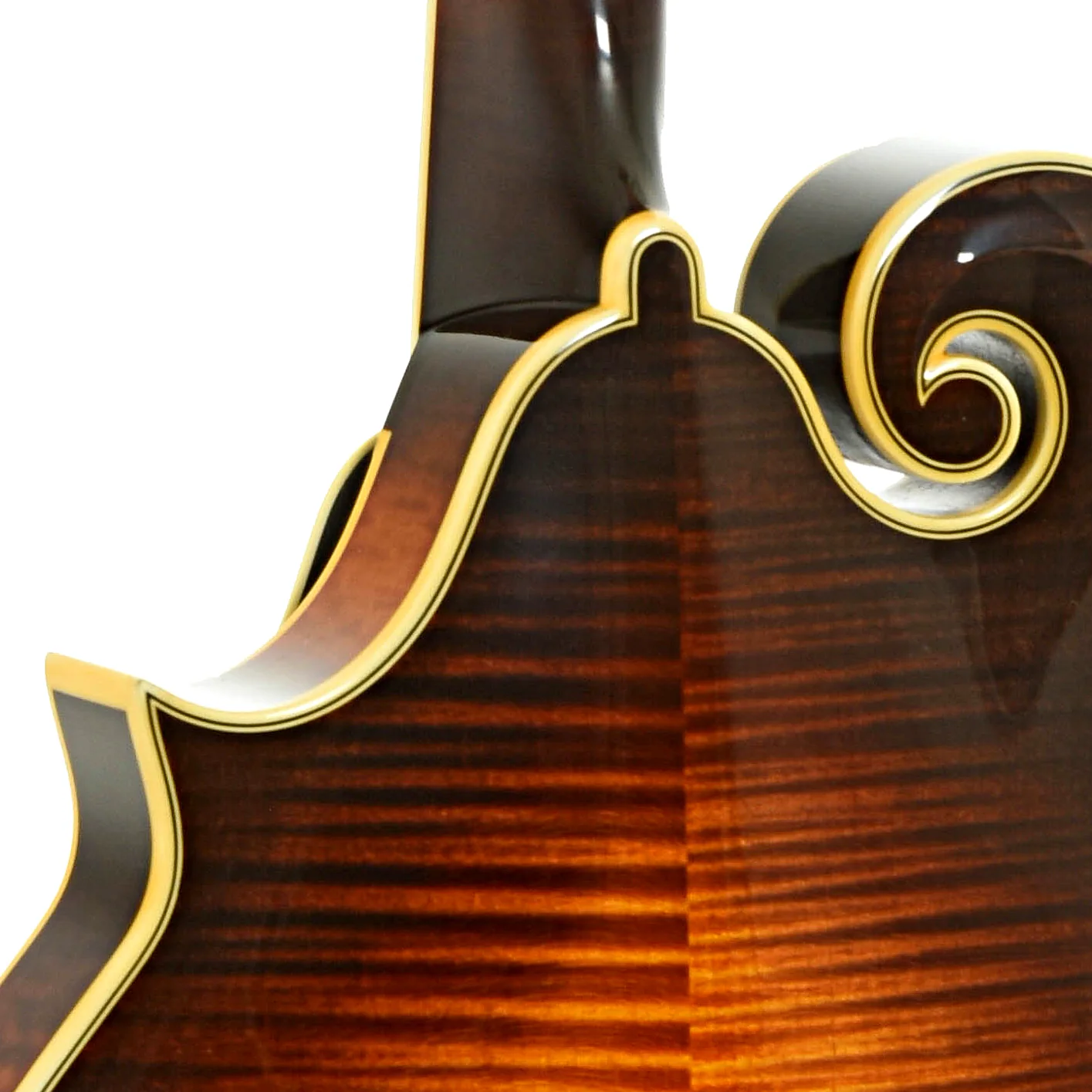 Pava F5 Pro Mandolin & Case, Sunburst Finish - Image 10