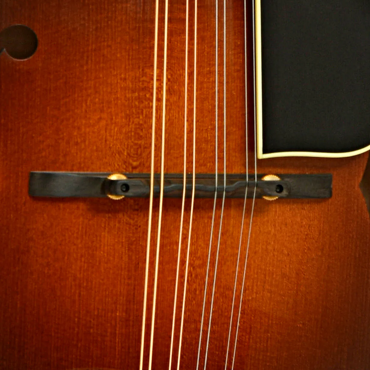Pava F5 Pro Mandolin & Case, Sunburst Finish - Image 6