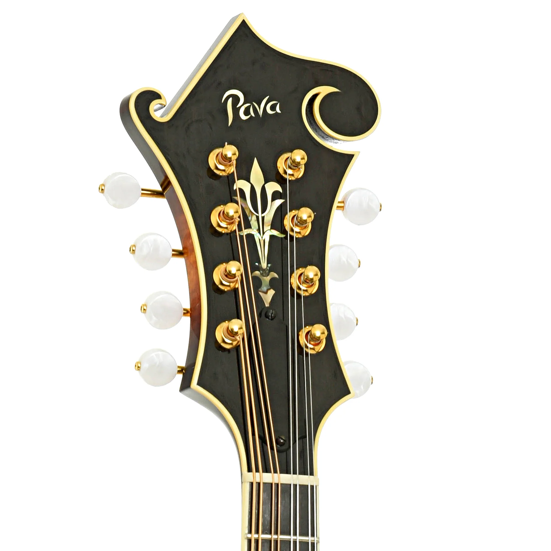 Pava F5 Pro Mandolin & Case, Sunburst Finish - Image 8