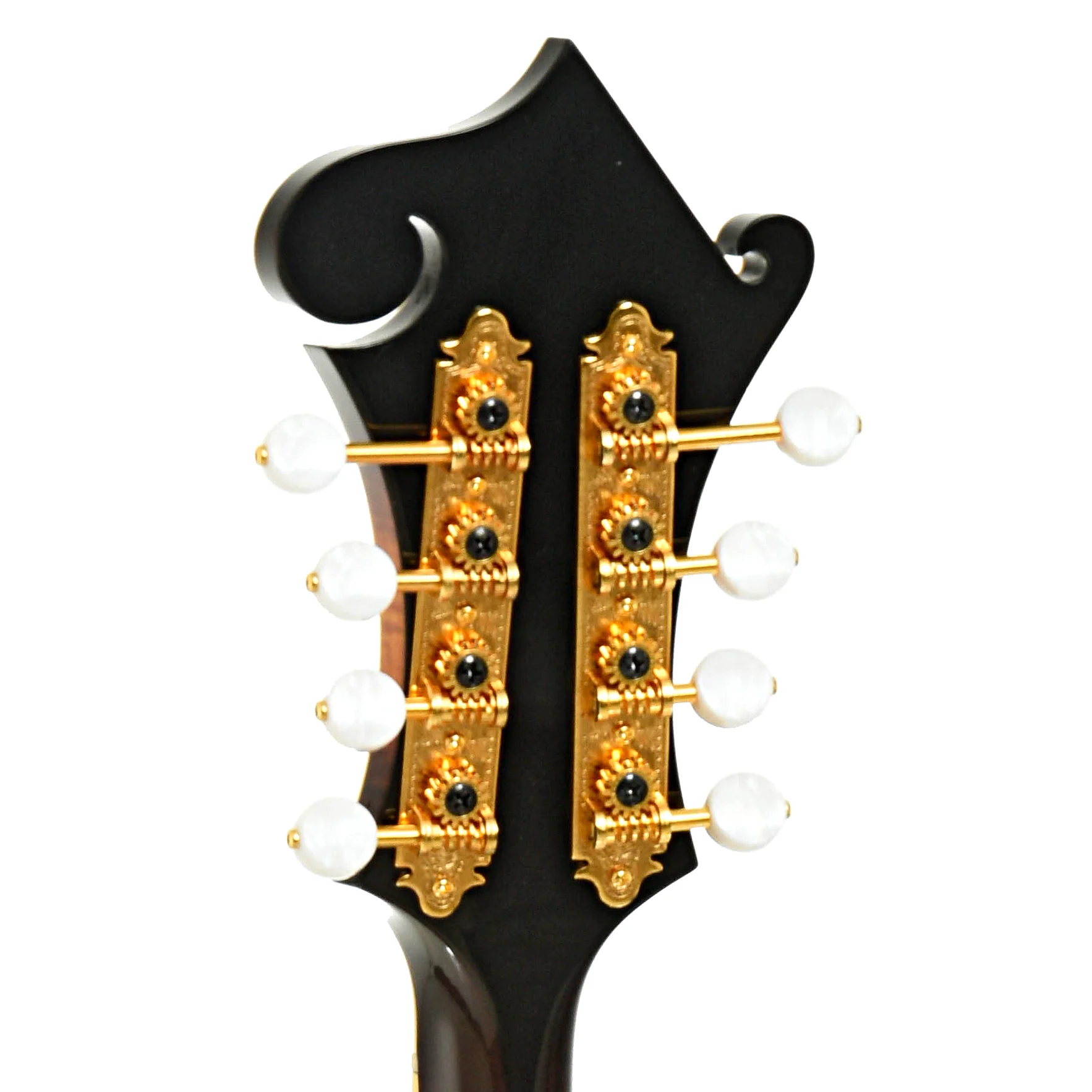 Pava F5 Pro Mandolin & Case, Sunburst Finish - Image 9