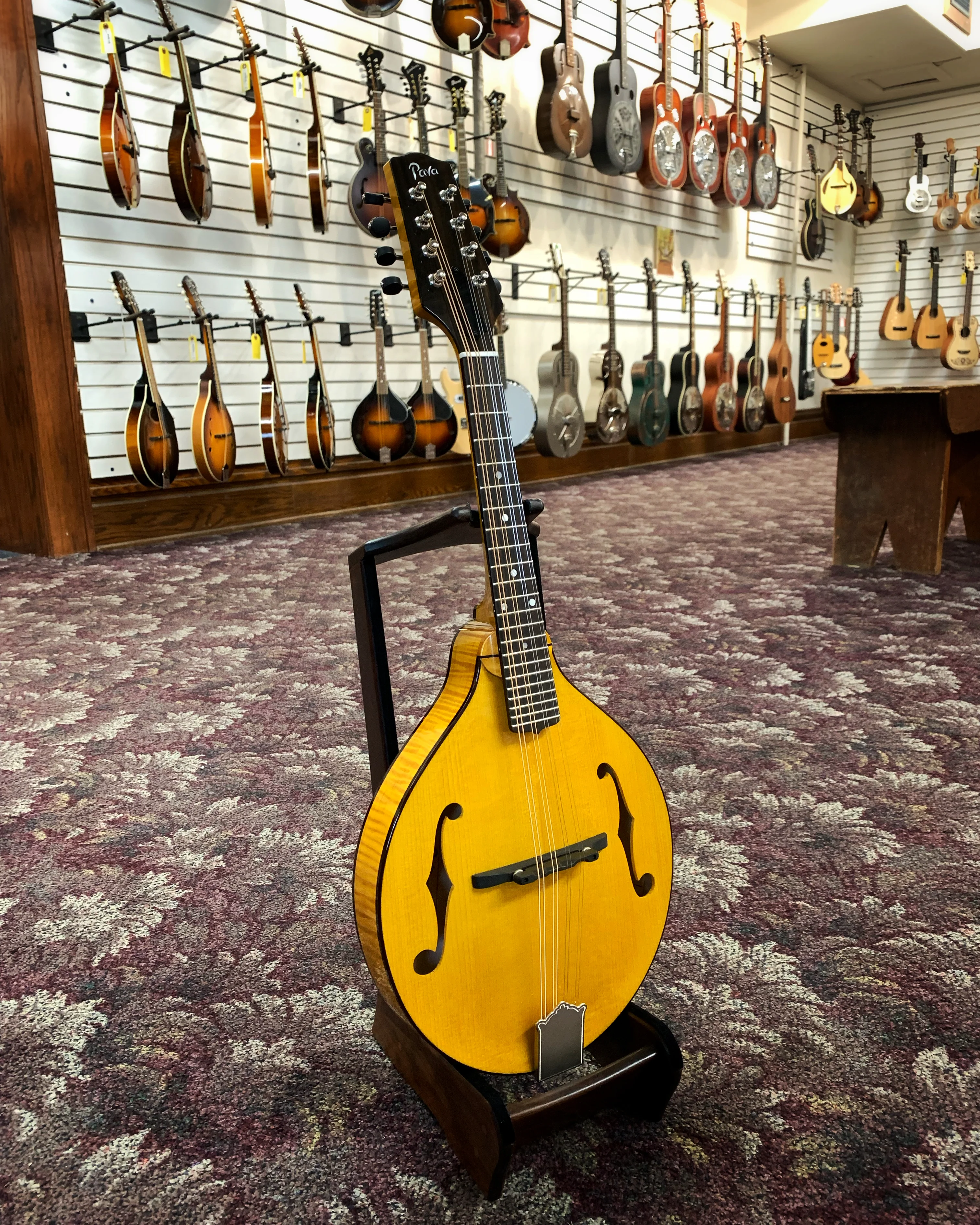 Pava Player Model A-Mandolin & Case, Amber