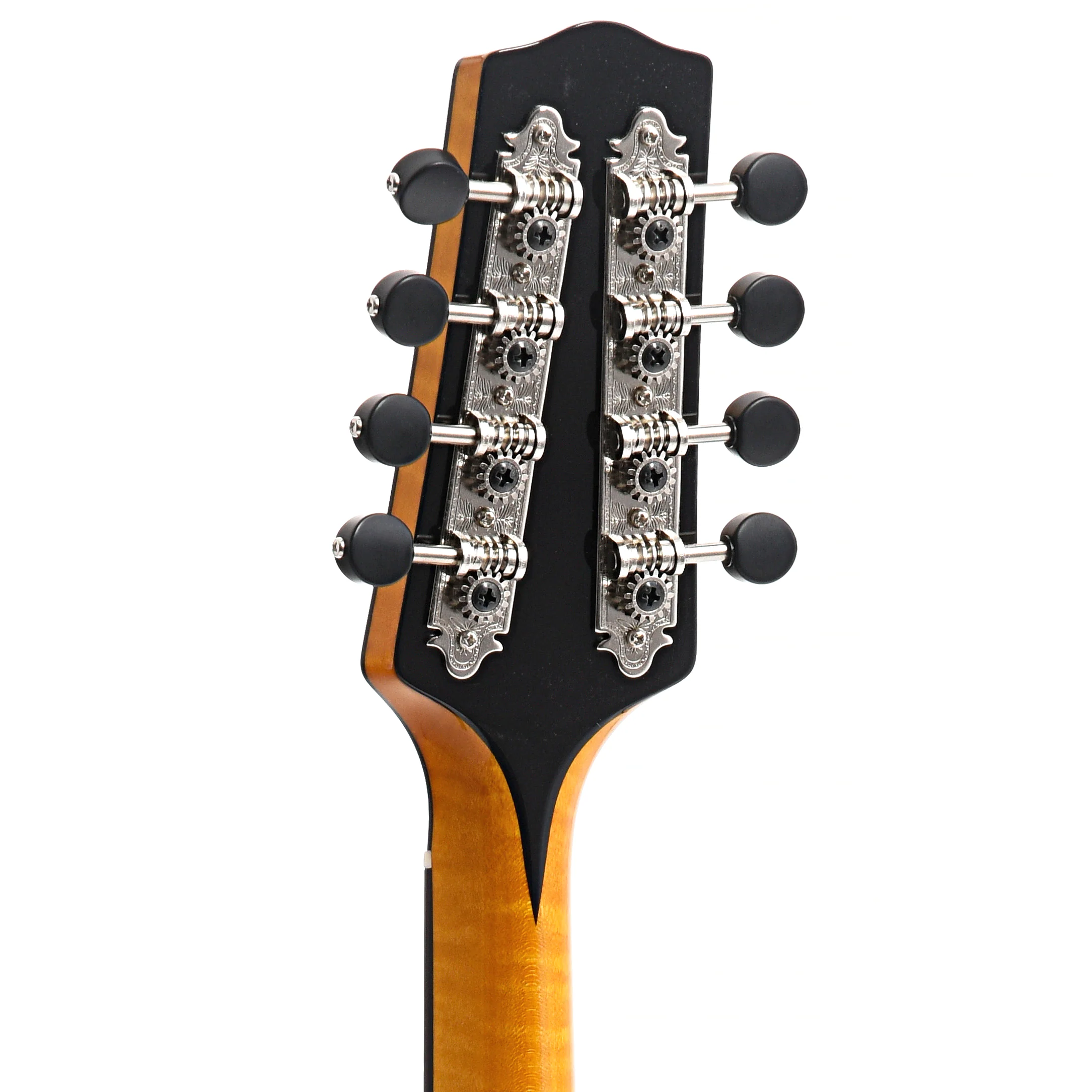 Pava Player Model A-Mandolin & Case, Amber - Image 11