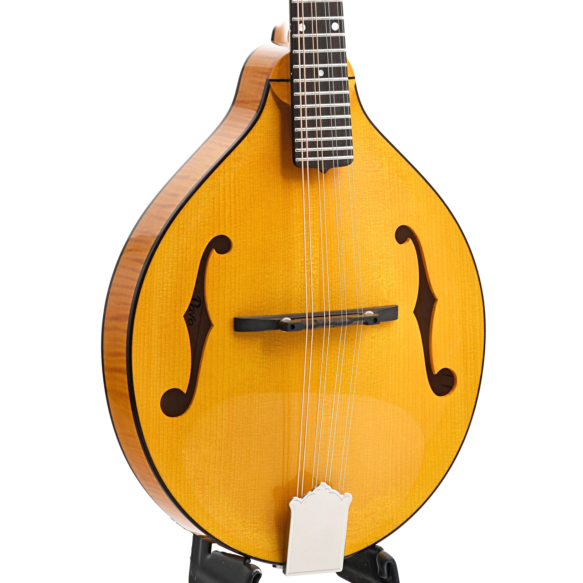 Pava Player Model A-Mandolin & Case, Amber - Image 6