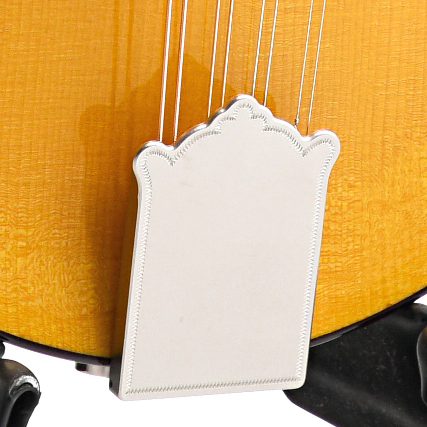 Pava Player Model A-Mandolin & Case, Amber - Image 7