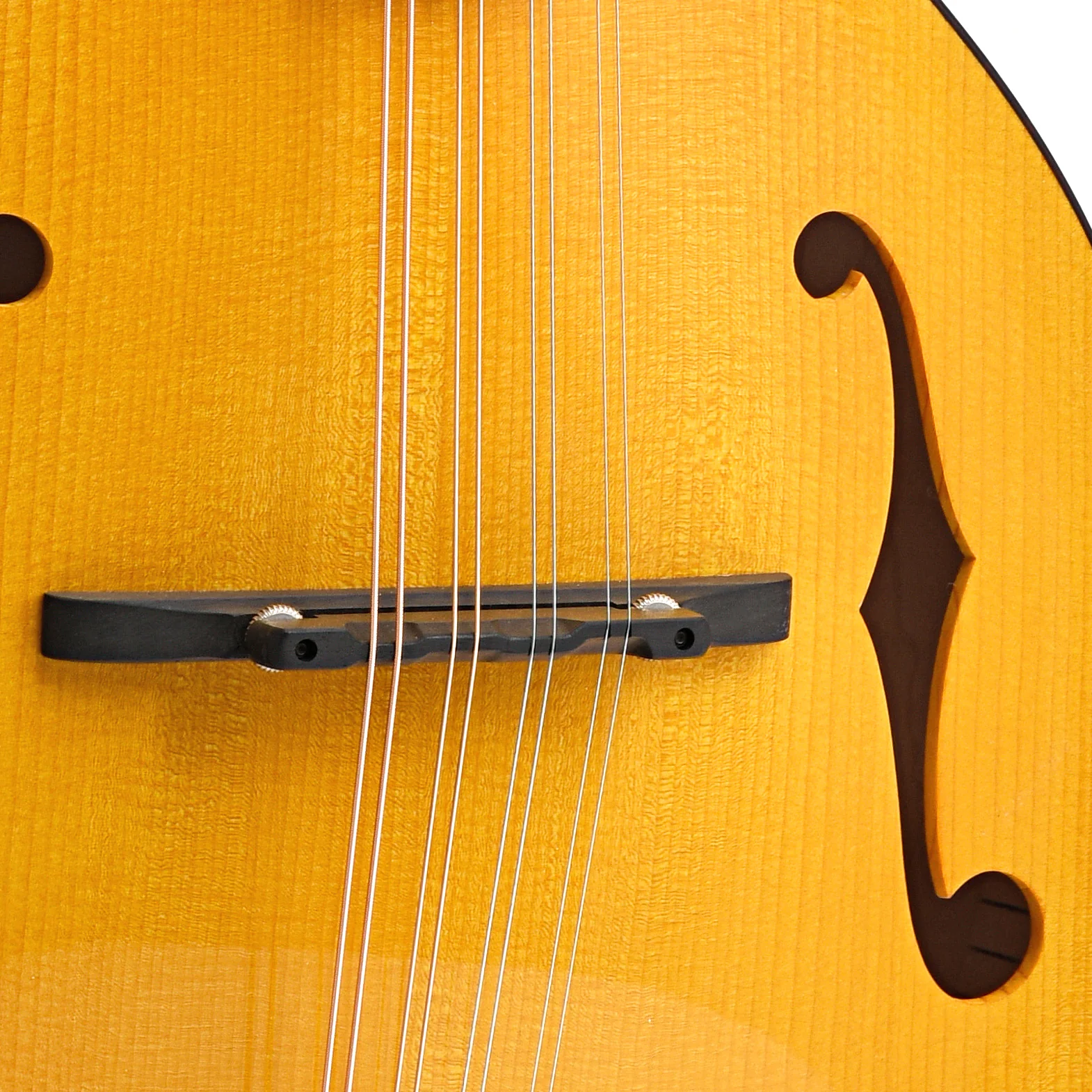 Pava Player Model A-Mandolin & Case, Amber - Image 8
