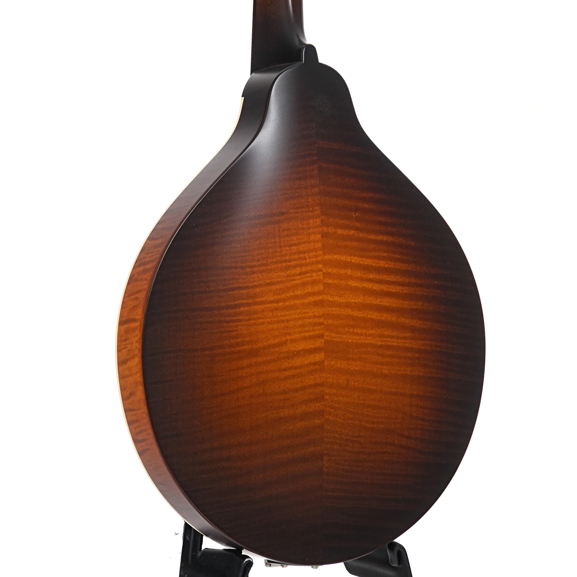 Pava A5 Satin Model Mandolin & Case, Sunburst - Image 10