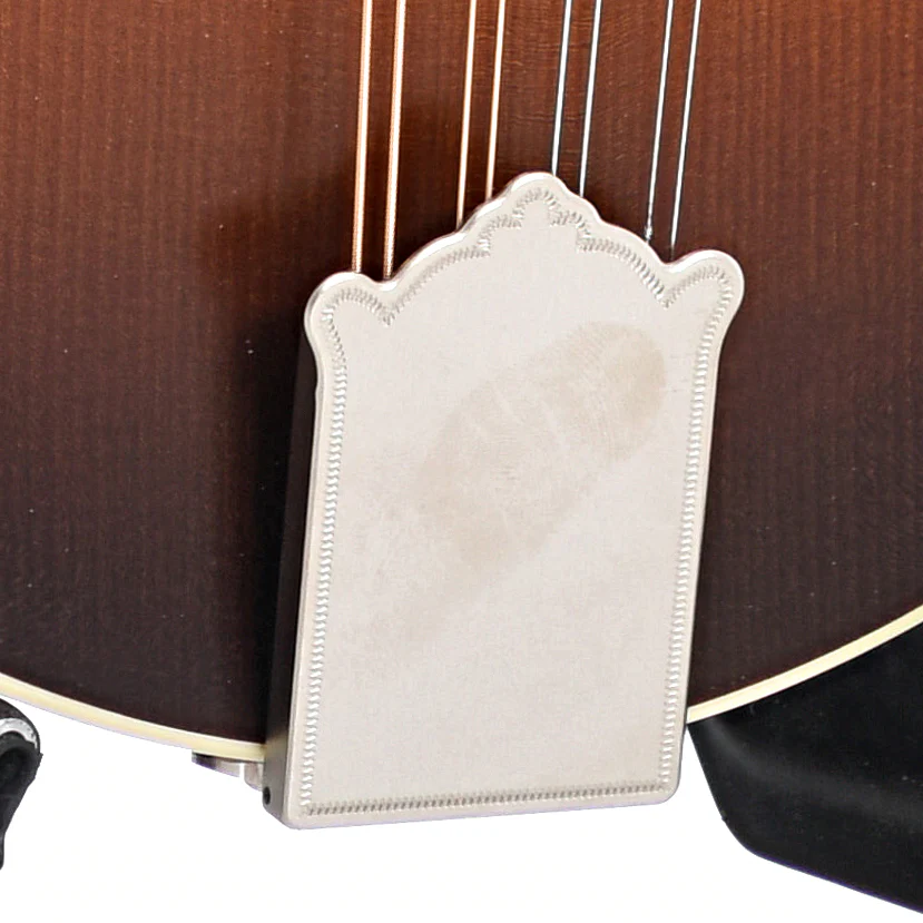 Pava A5 Satin Model Mandolin & Case, Sunburst - Image 4
