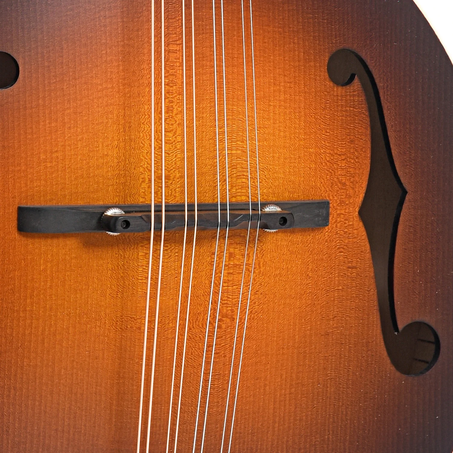 Pava A5 Satin Model Mandolin & Case, Sunburst - Image 5