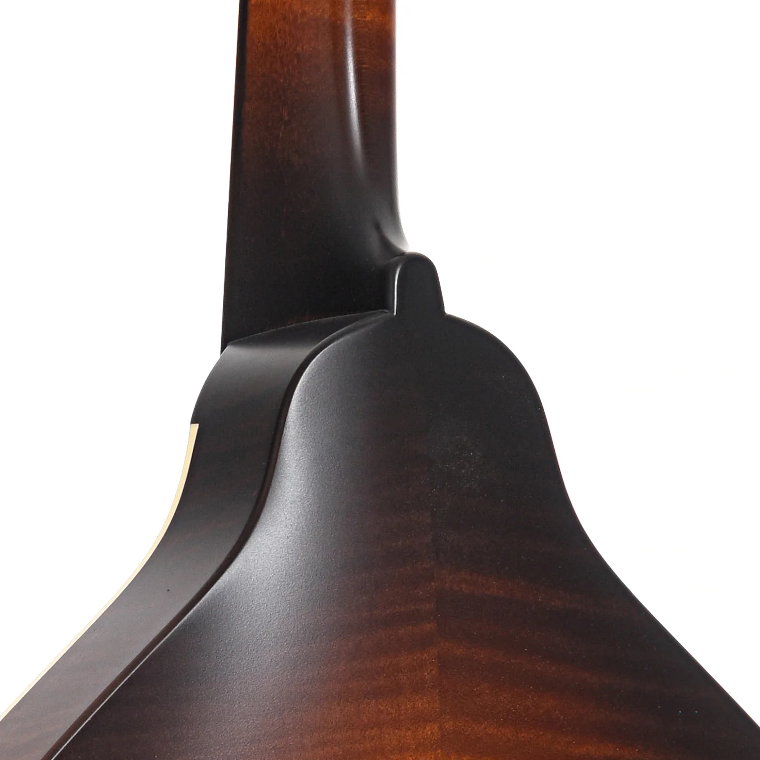 Pava A5 Satin Model Mandolin & Case, Sunburst - Image 9