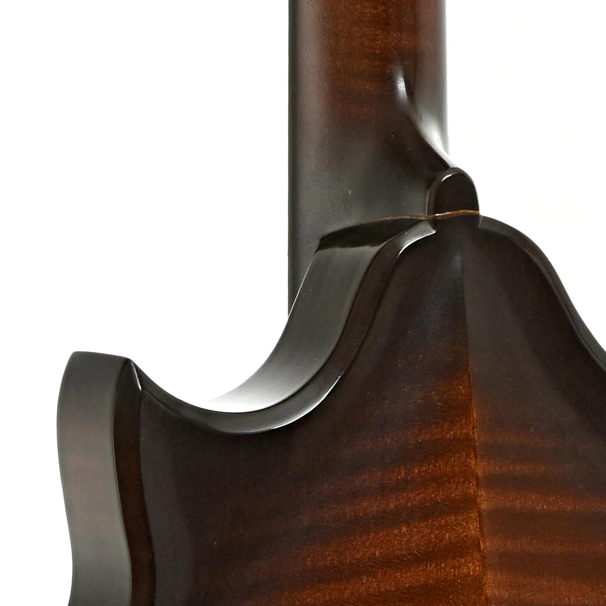 Phoenix Europa III Mandolin (2014) - Image 10